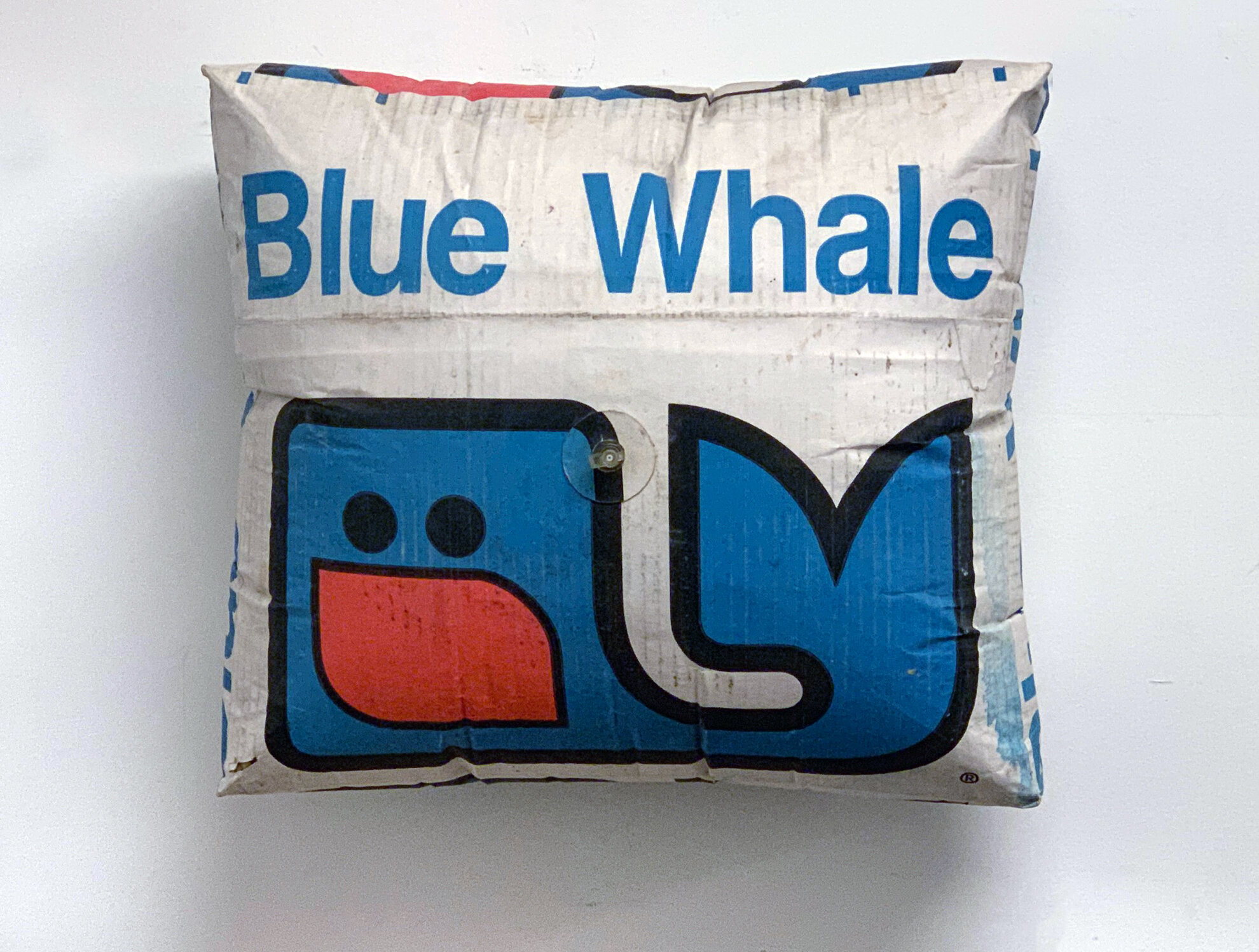 blue_whale.jpg