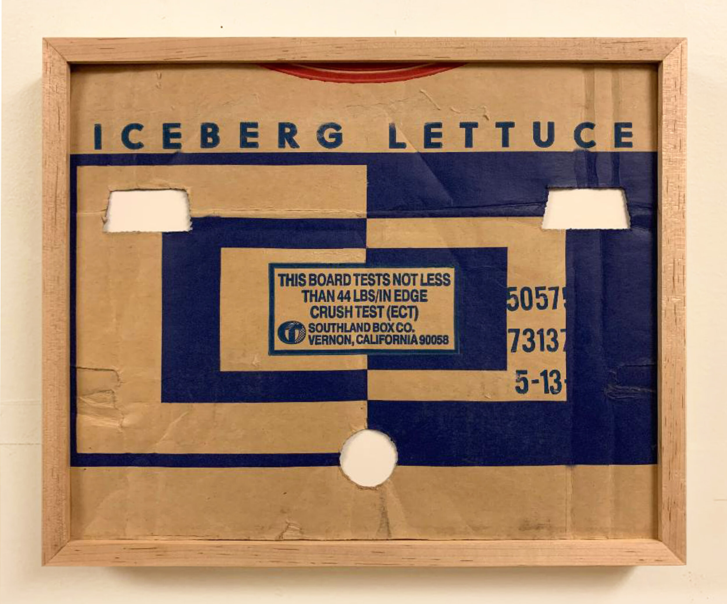 Pelt Future Fairs - Iceberg Lettuce.jpg