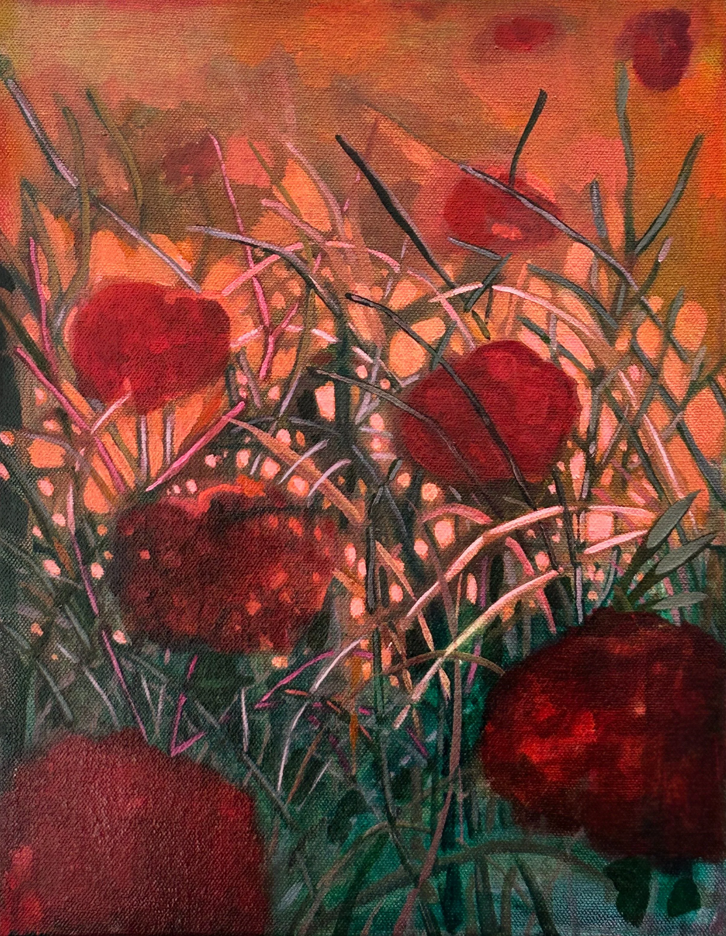 Sage Tucker-Ketchem, Poppies, 10 x 8