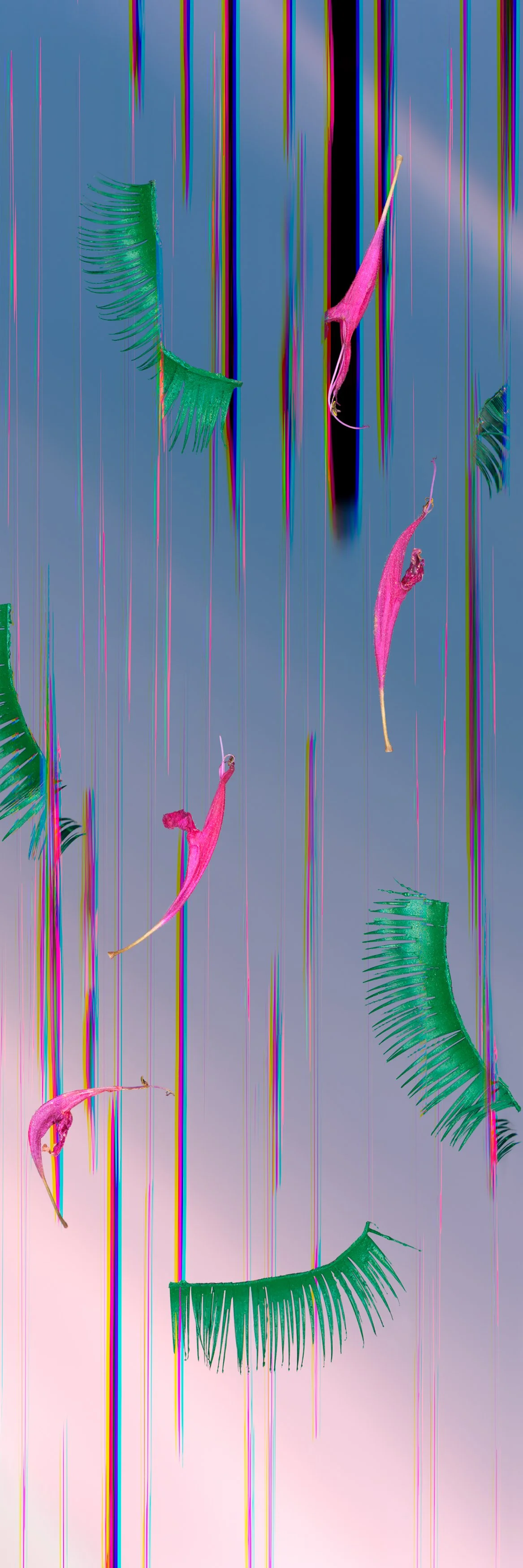 06_A Sweep of Lashes and Petals__ 15x.jpg