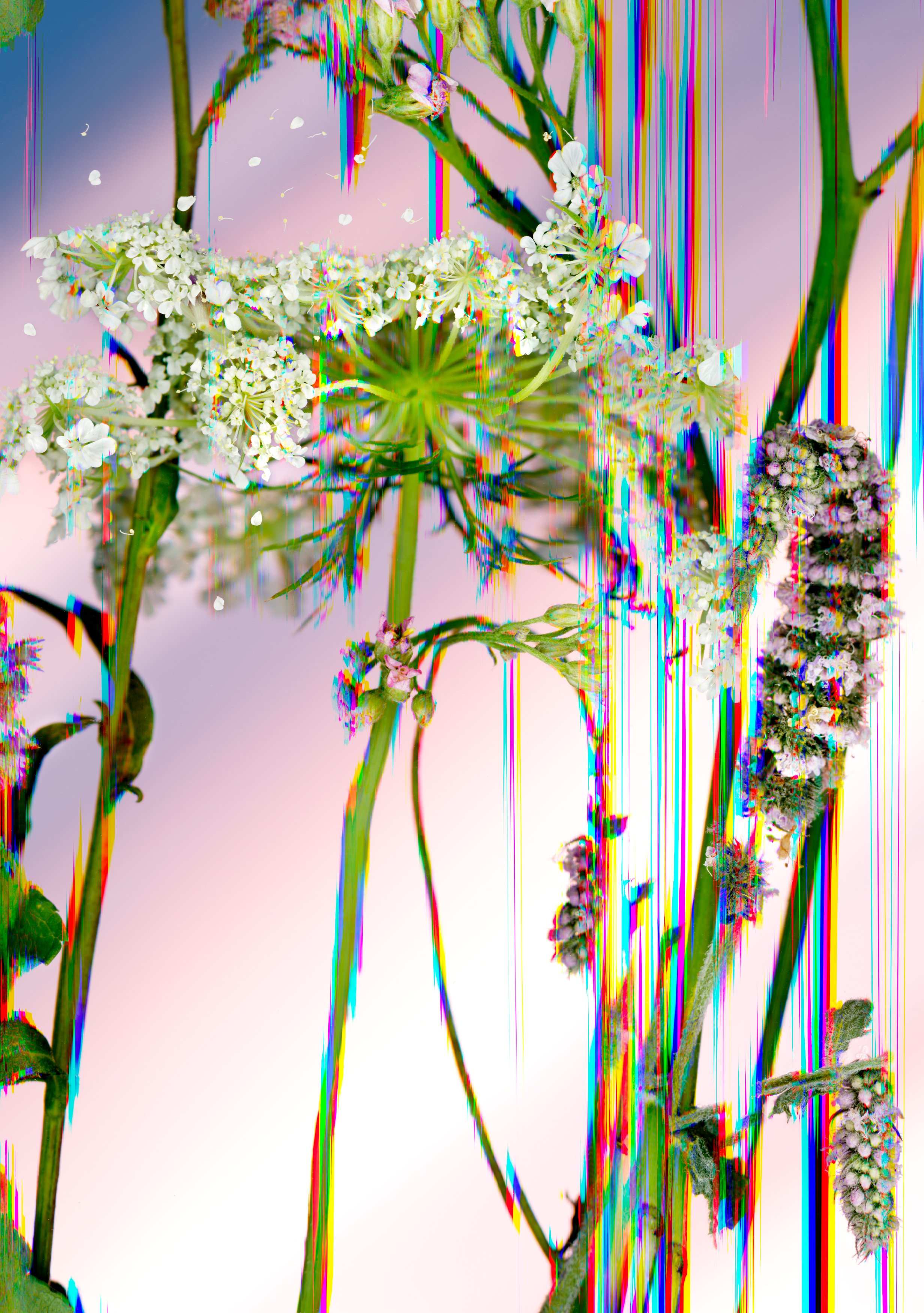 13_Prismatic Dispersion_14x20.jpg