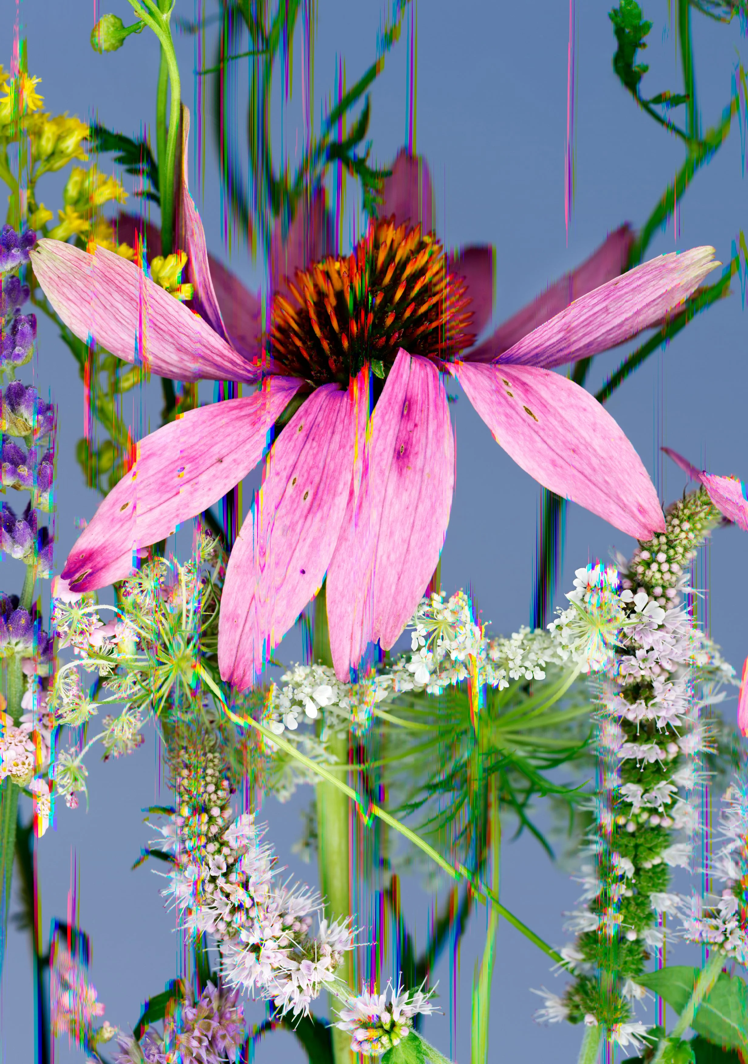 14_A Riot of Tenderness_14x20.jpg