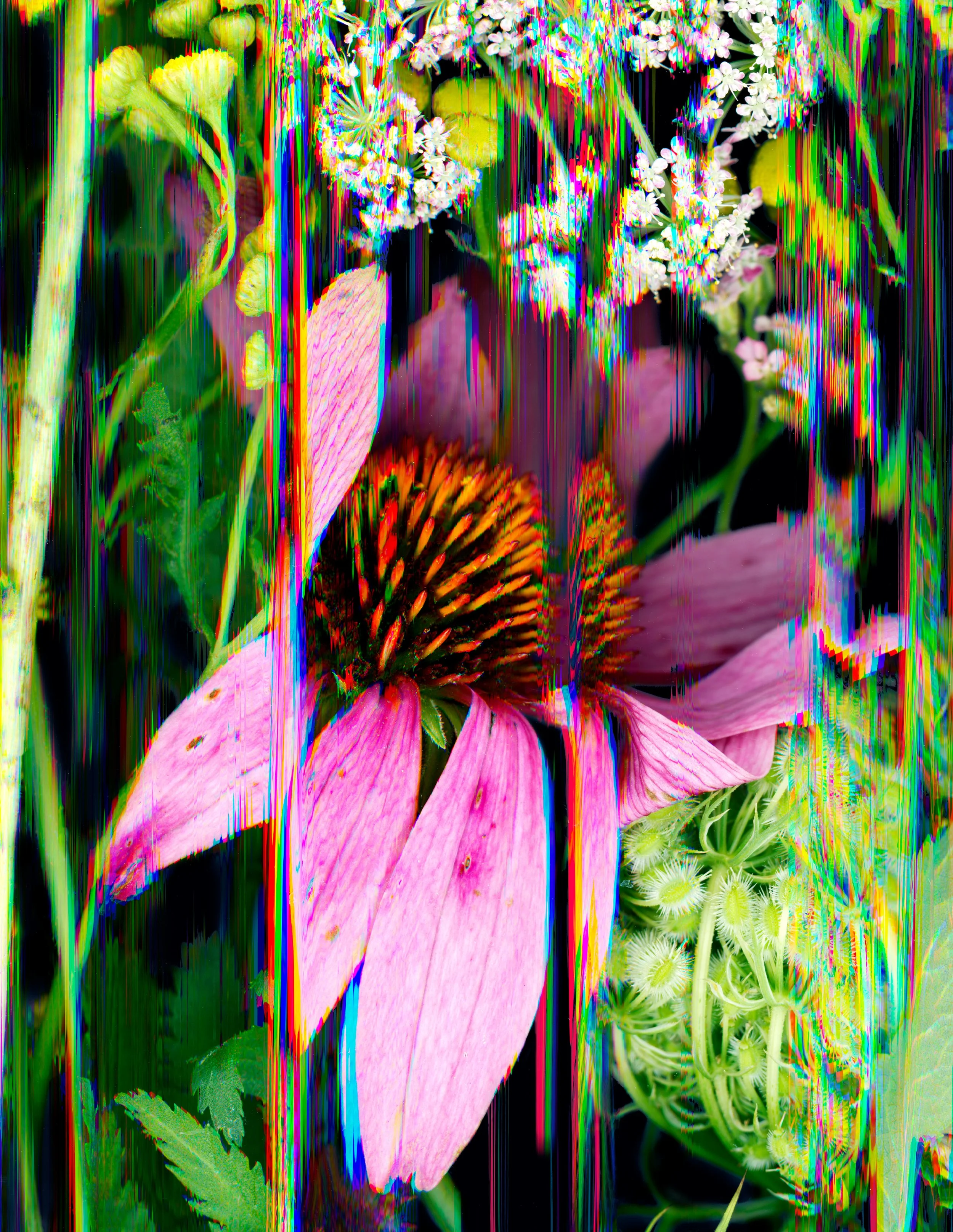 15_Resting in Fragments_10x13.jpg