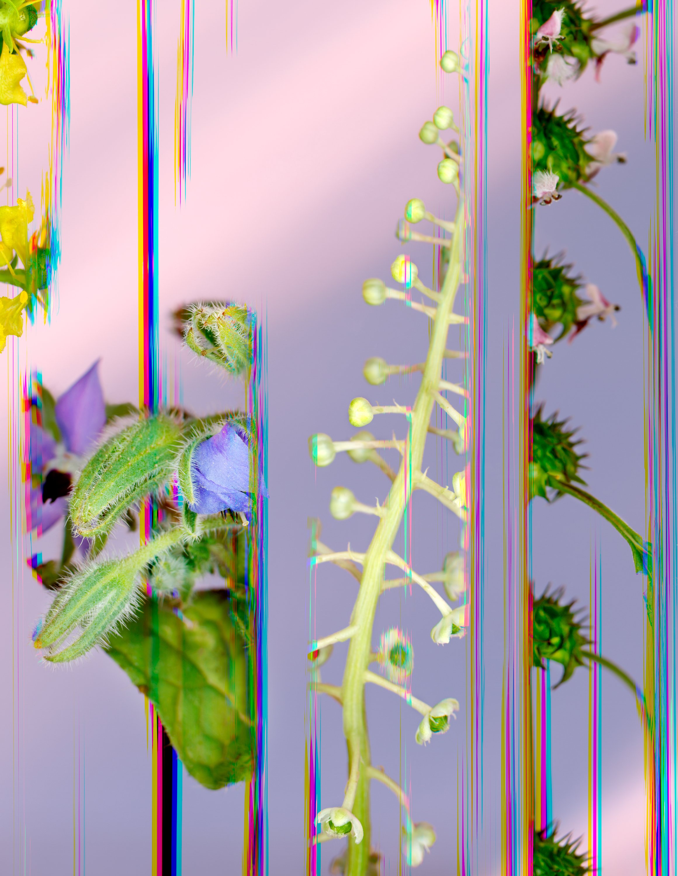 16_A Complicated Remedy 10x13.jpg