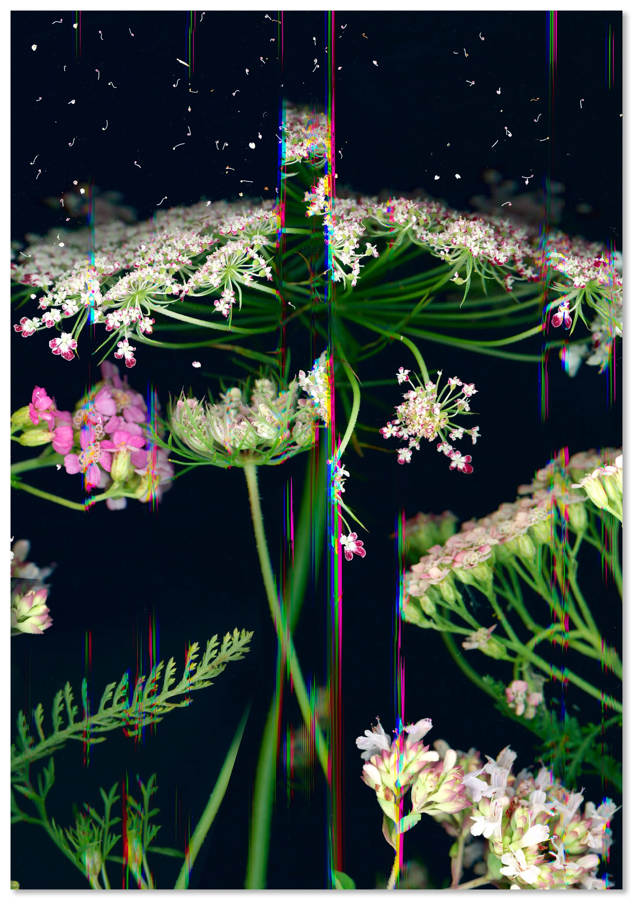 07_14x20.jpg