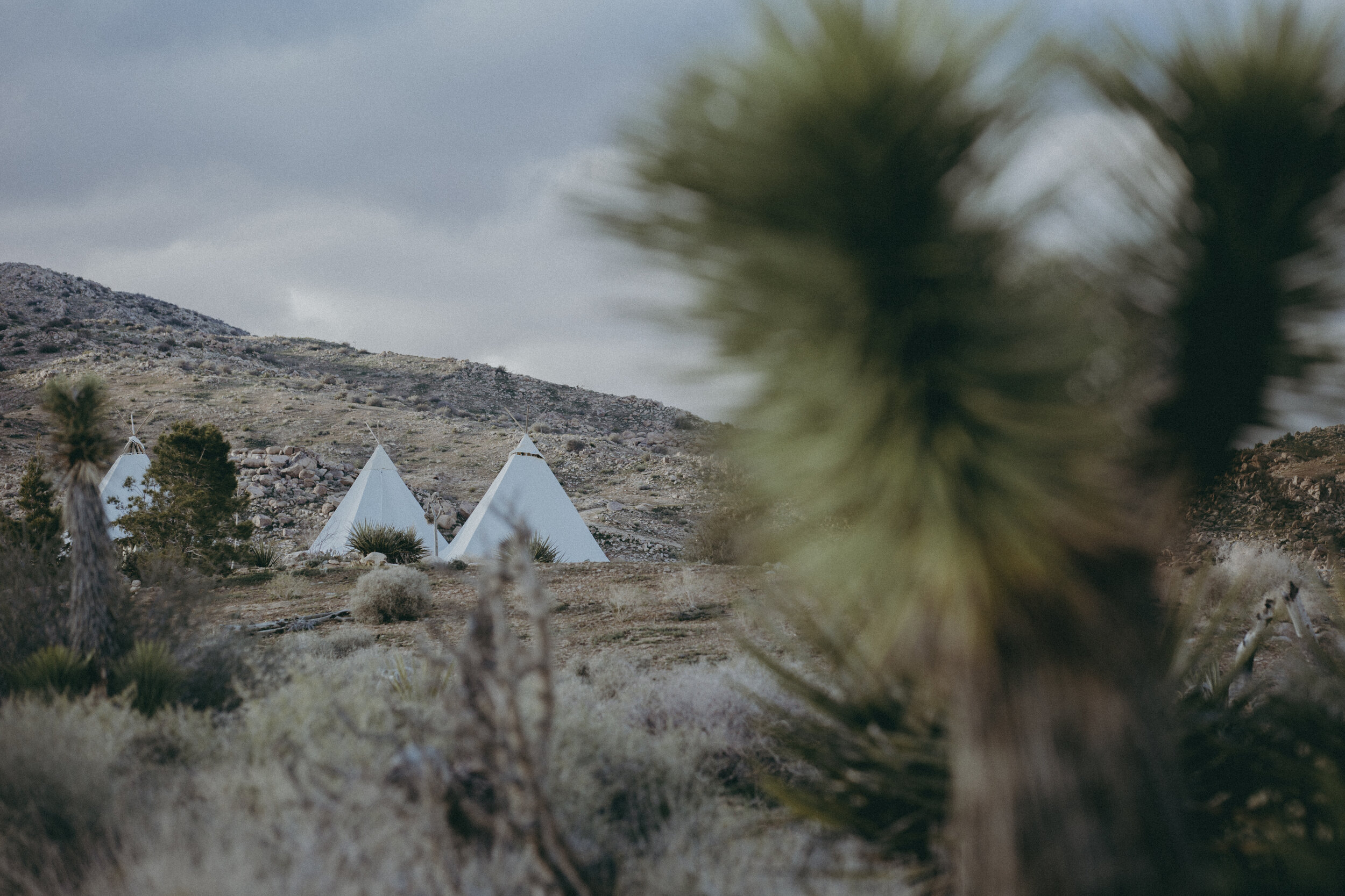 Under Canvas Tents at Rimrock_©Renee McMahon-12.jpg