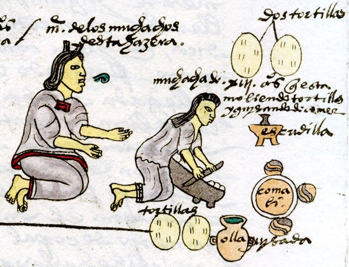 a mother teaching her daughter to cook tortillas on a comal from the Mendoza codex.