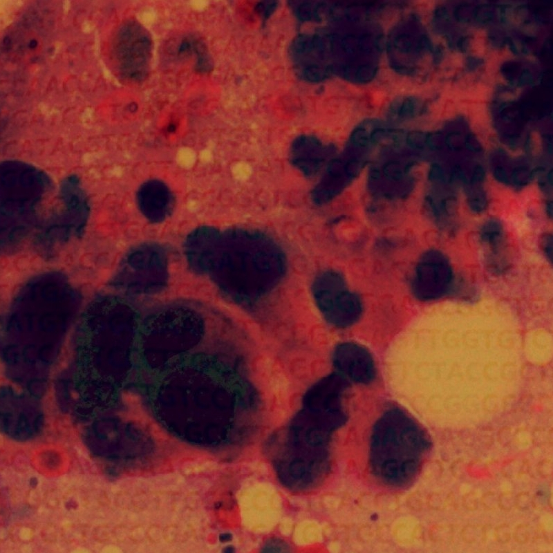 fna#1 diff 40x_pinchtext_noinv.jpg