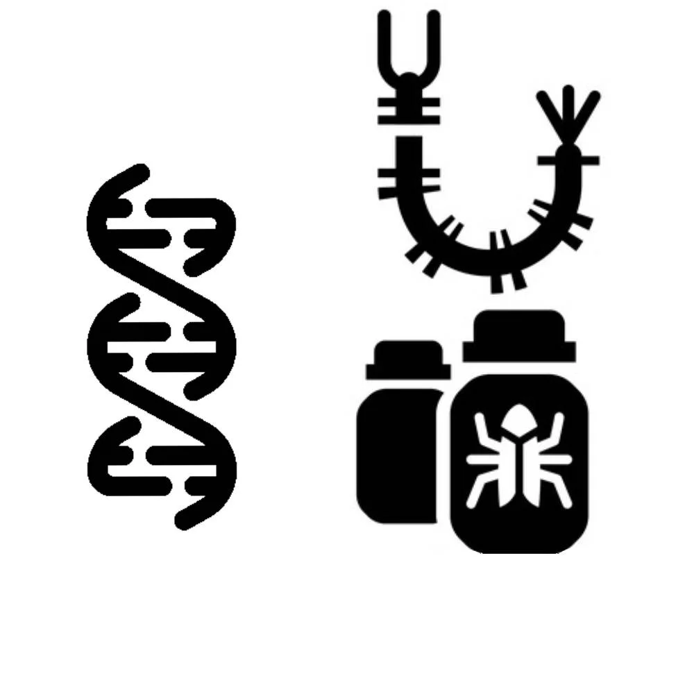 bugseq.jpg