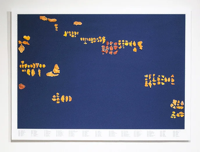 Keren Benbenisty, This Is the Color of My Dreams , 2015. Mandarin peels mounted on archival digital inkjet print, 33 x 43 inches / 83.8 x 109.2 cm