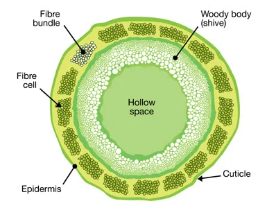 https://www.nrc-cnrc.gc.ca/eng/achievements/highlights/2009/natural_fibres.html