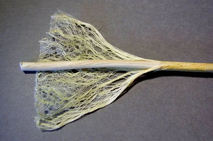 https://www.hempgazette.com/industrial-hemp/hemp-fiber-production/