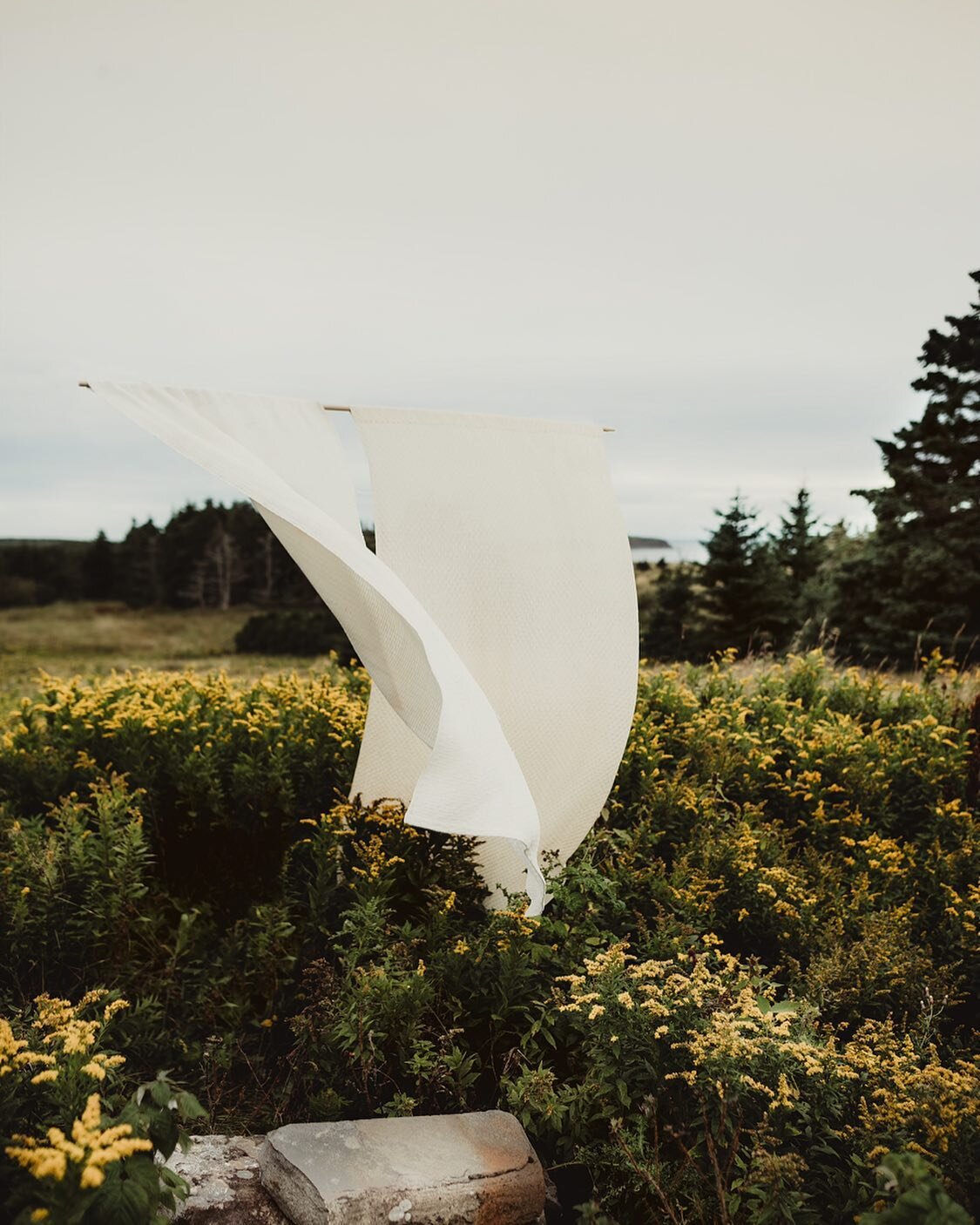 Back in the Winter at @textilmidstod in Bl&ouml;ndu&oacute;s, &Iacute;sland, I worked on some weaving through time that tied me to my great-great grandmother. This Summer, my sweet friend @kristin.m.pope and I made photos of our textiles in both the 