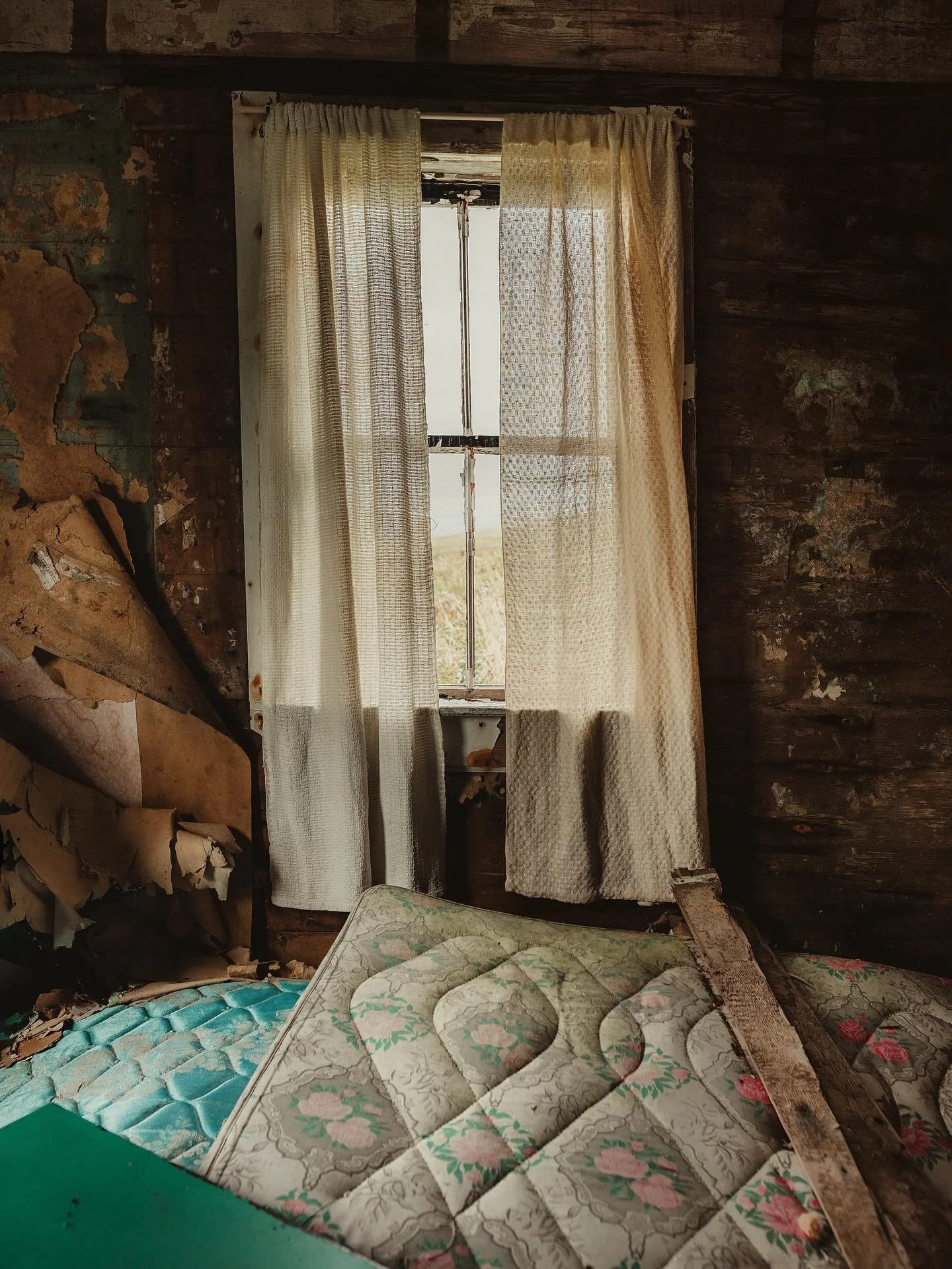 me and @kristin.m.pope are pretty happy that these works, this is how we can visit, were acquired by the provincial art bank! looking forward to maybe seeing where they&rsquo;ll go.
 
hands up and thanks to the selections committee and @therooms_nl.