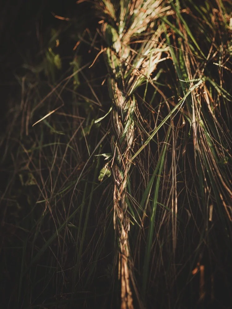 been a minute but i&rsquo;m skipping out of winter and getting excited to head to @bacabiennale with fam @dionkaszas and @theoriginalmel to share new work, skin marking, time. 
 
big thanks to friends @kristin.m.pope, @kelseystreet and R Sharr for he