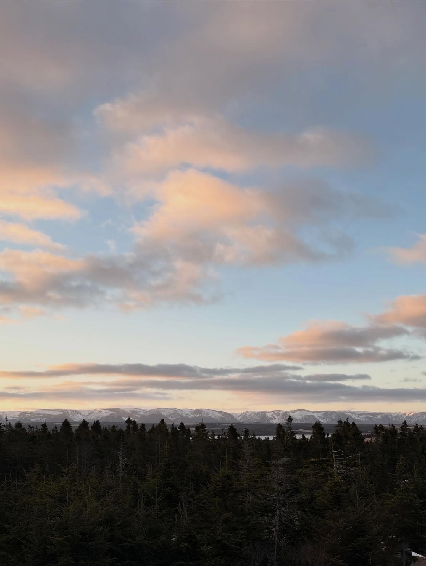 i thought the spring was getting in to me (and it is). and when i noticed the moon and the calendar and the signs of season i realized that it&rsquo;s been exactly one year since my dad died.
 
over the past year, there was a lot of loss, kinds of lo