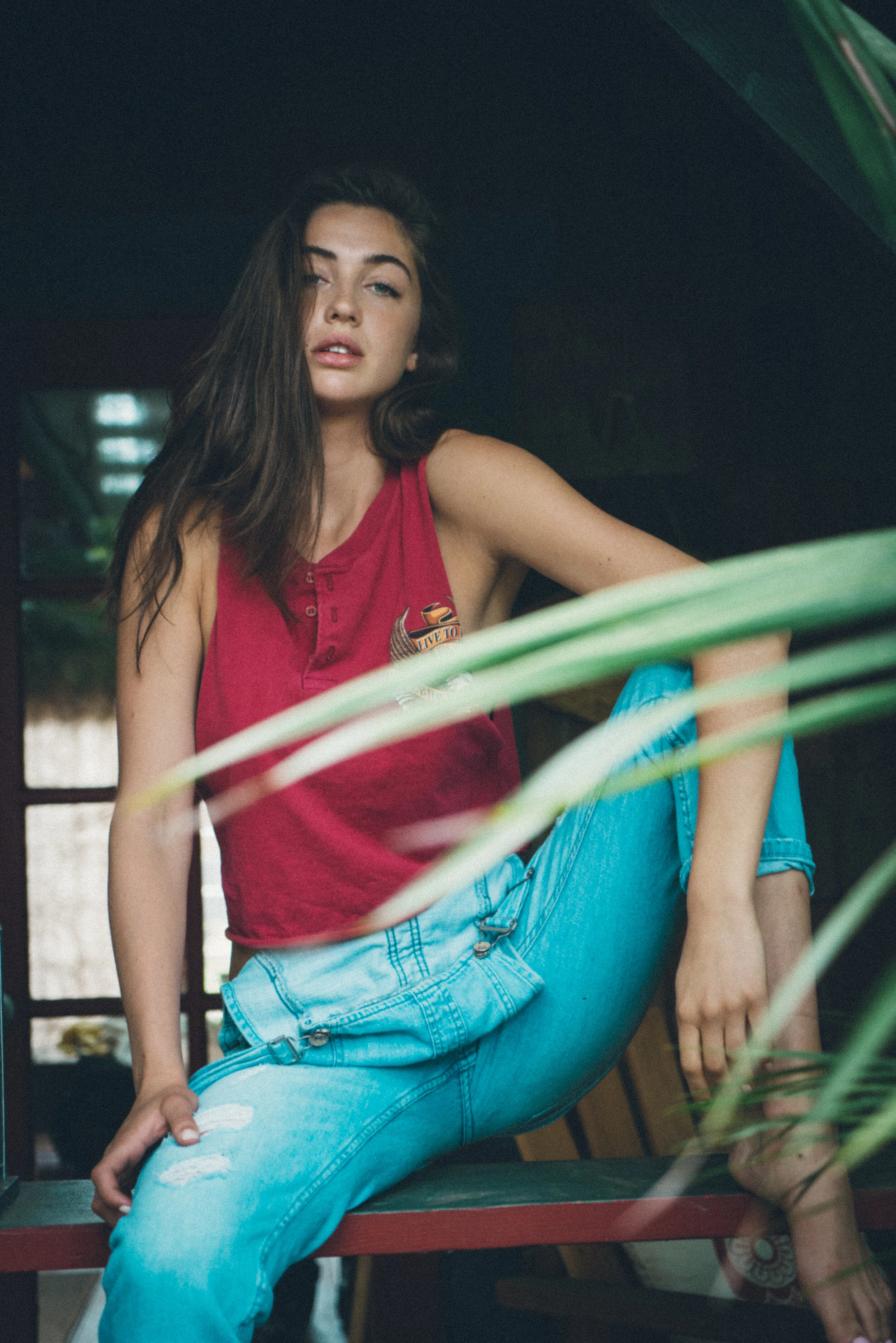 Abercrombie & Fitch.jpg
