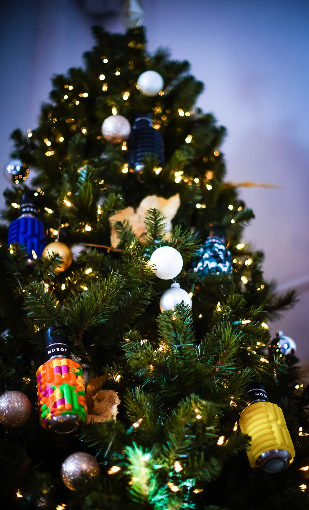 F Bottles in Tree.jpg