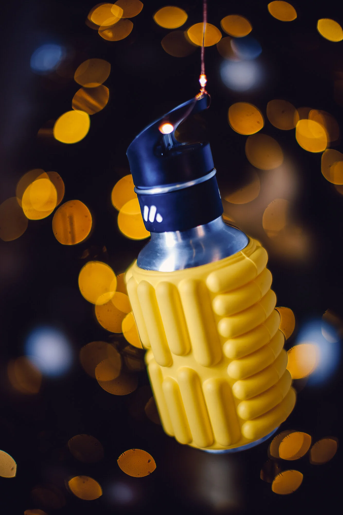 Fyellow hanging from tree.jpg