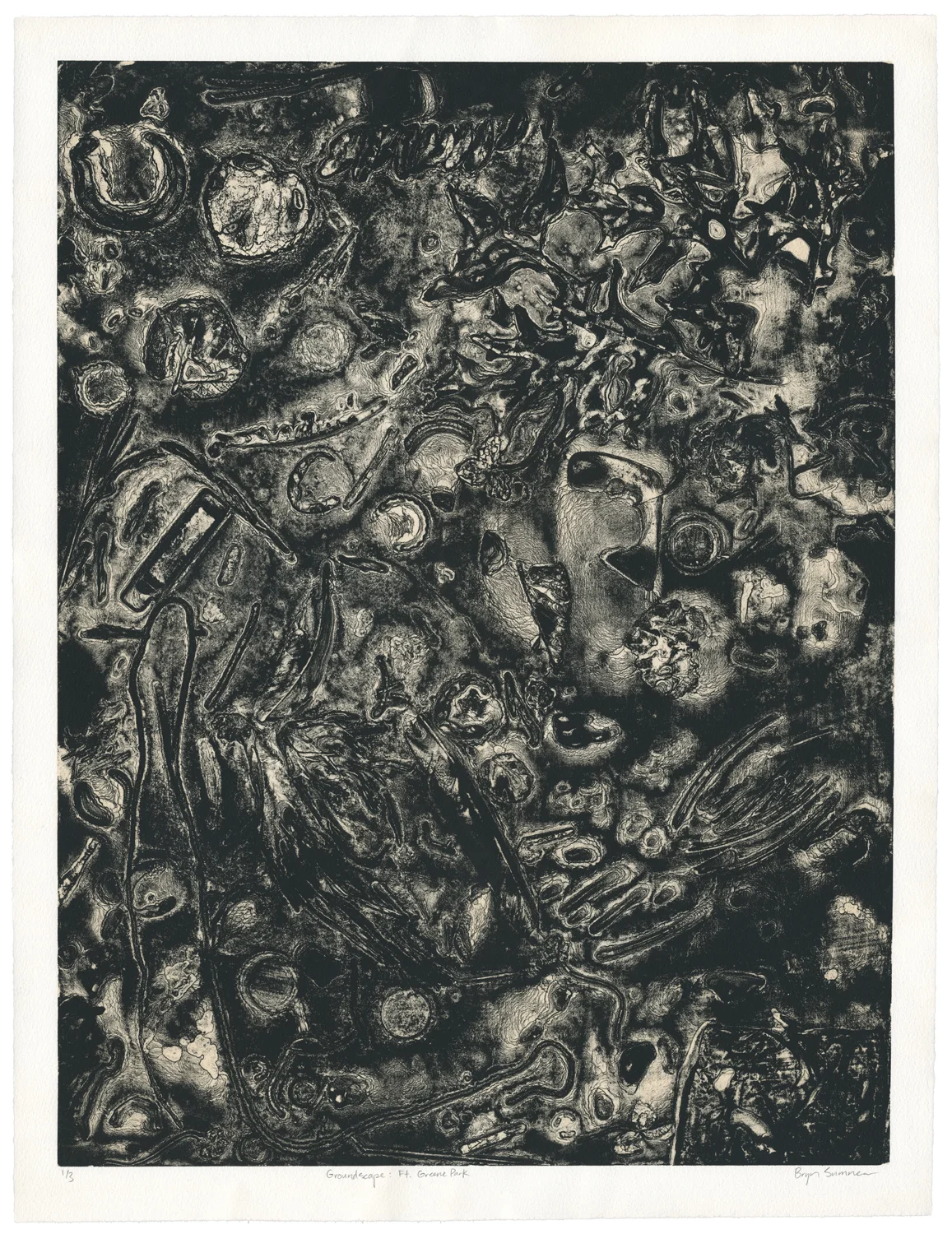 1 Groundscape Ft Greene.jpg