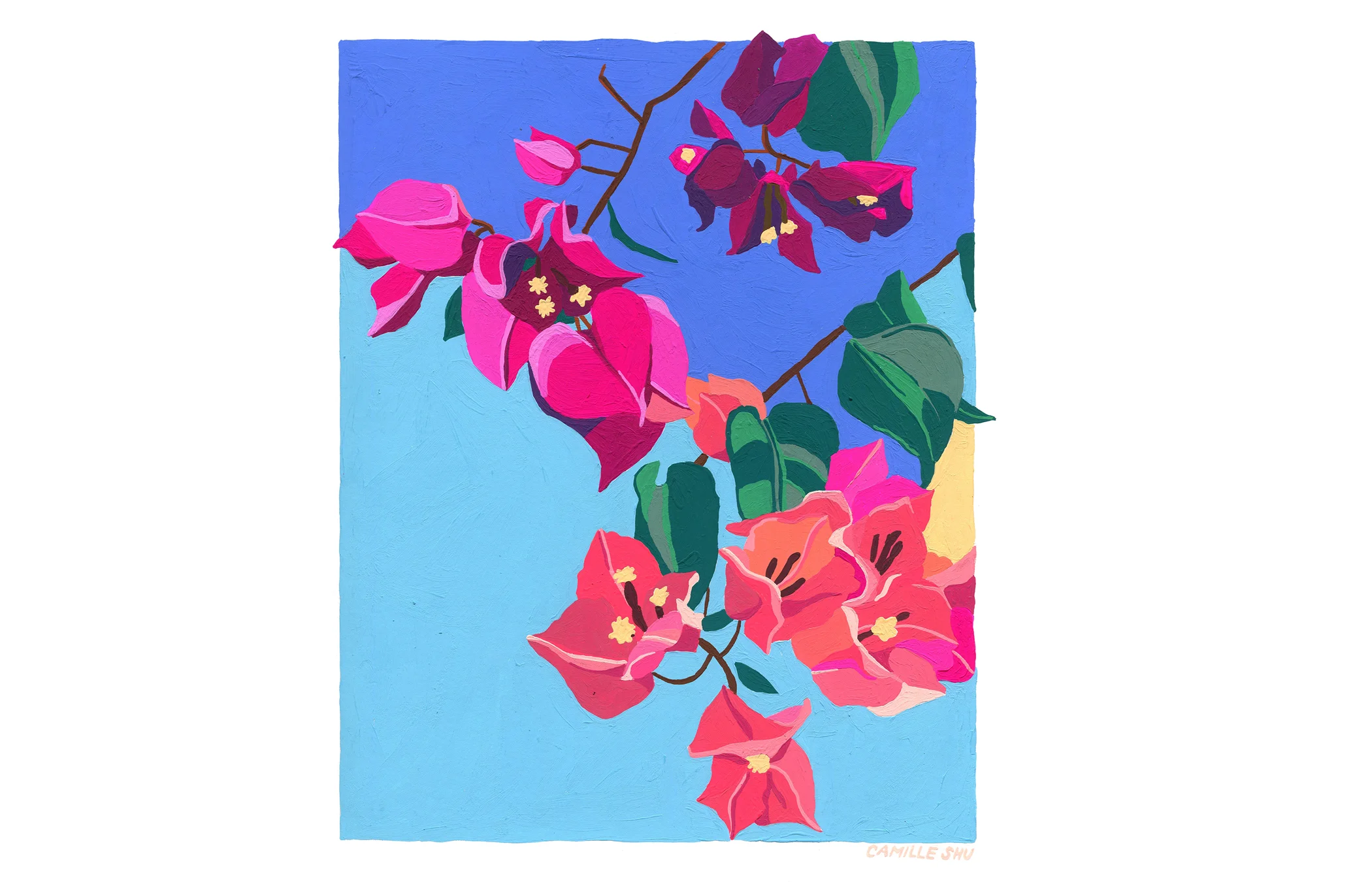 boug print line sheet.jpg