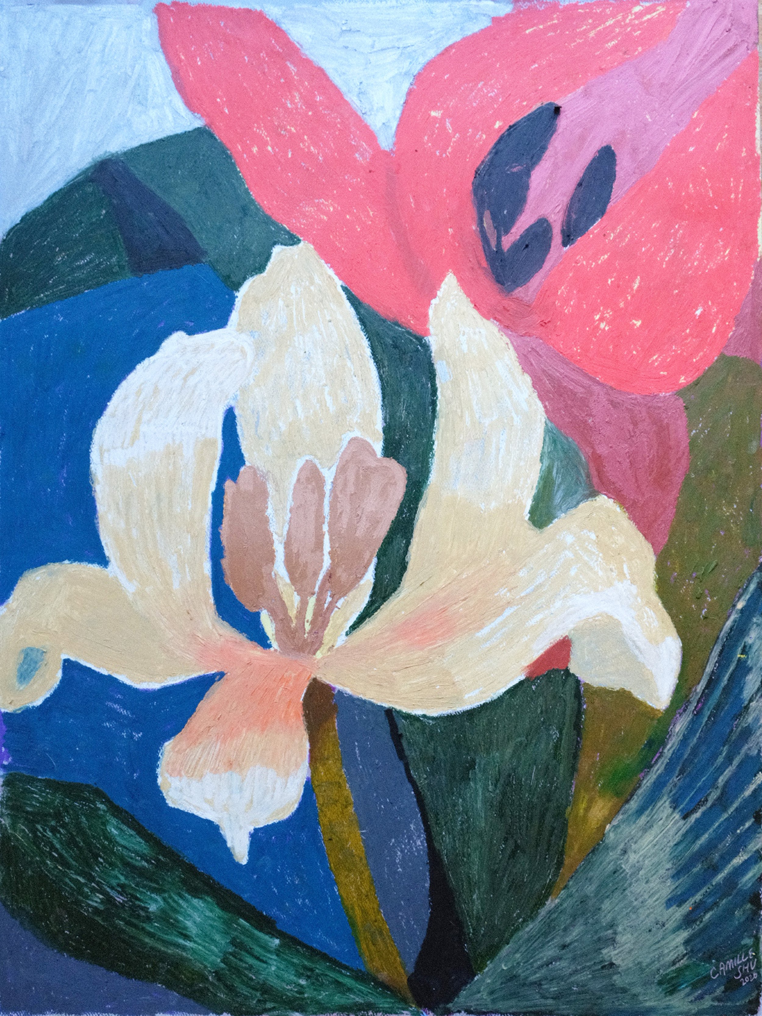 Tulip Dance.jpg