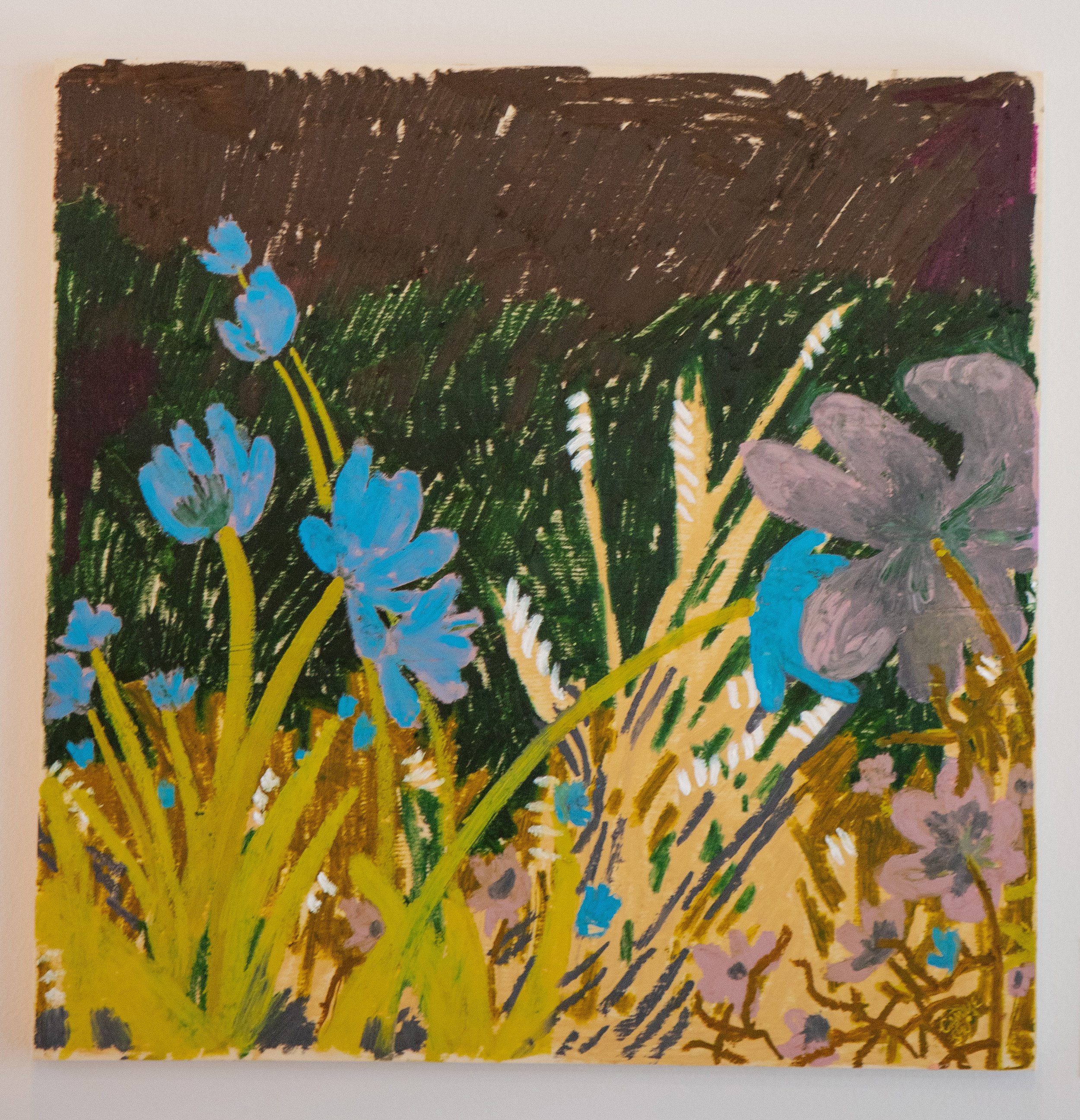 night meadow.jpg