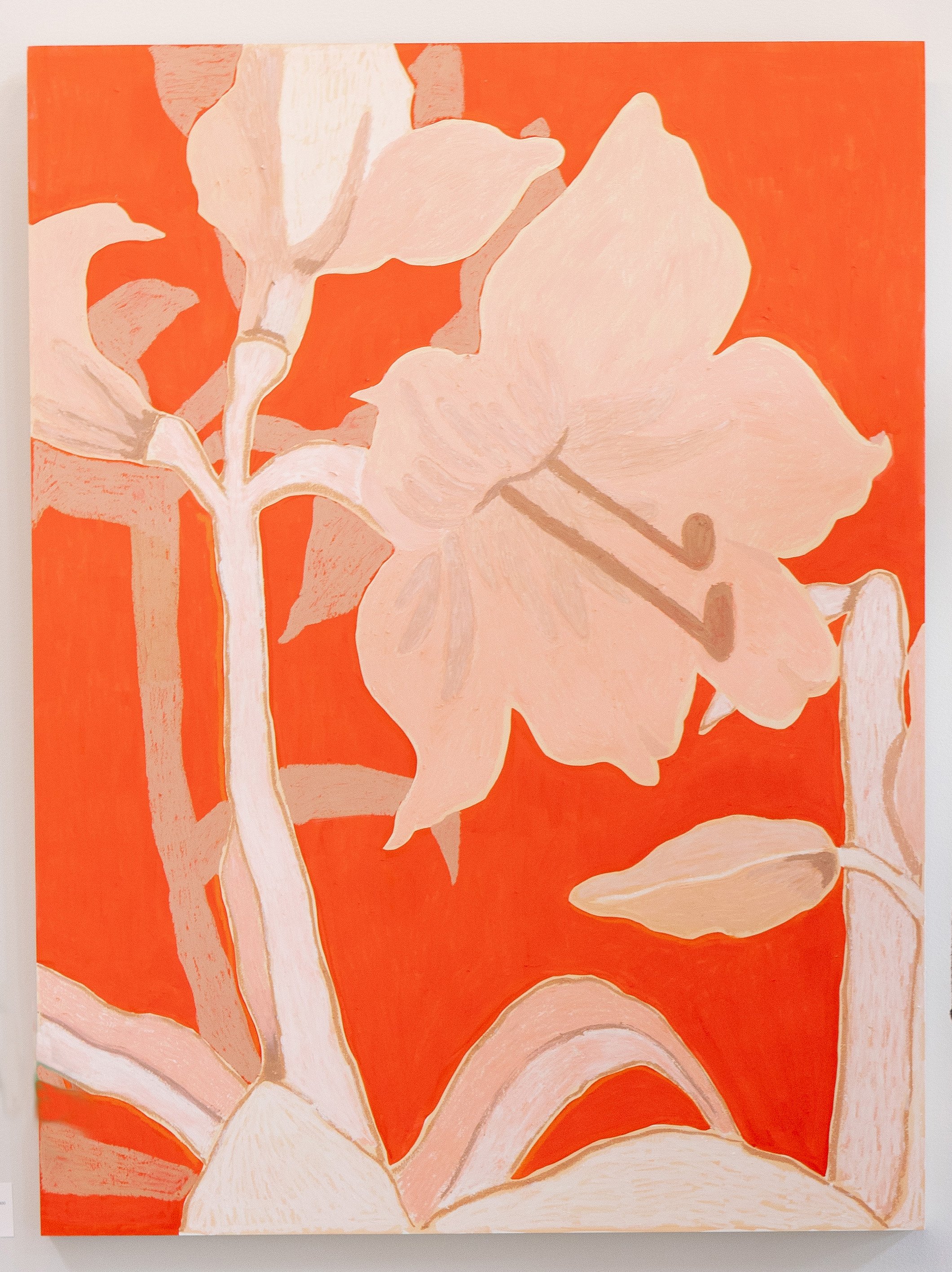 Amaryllis.jpg
