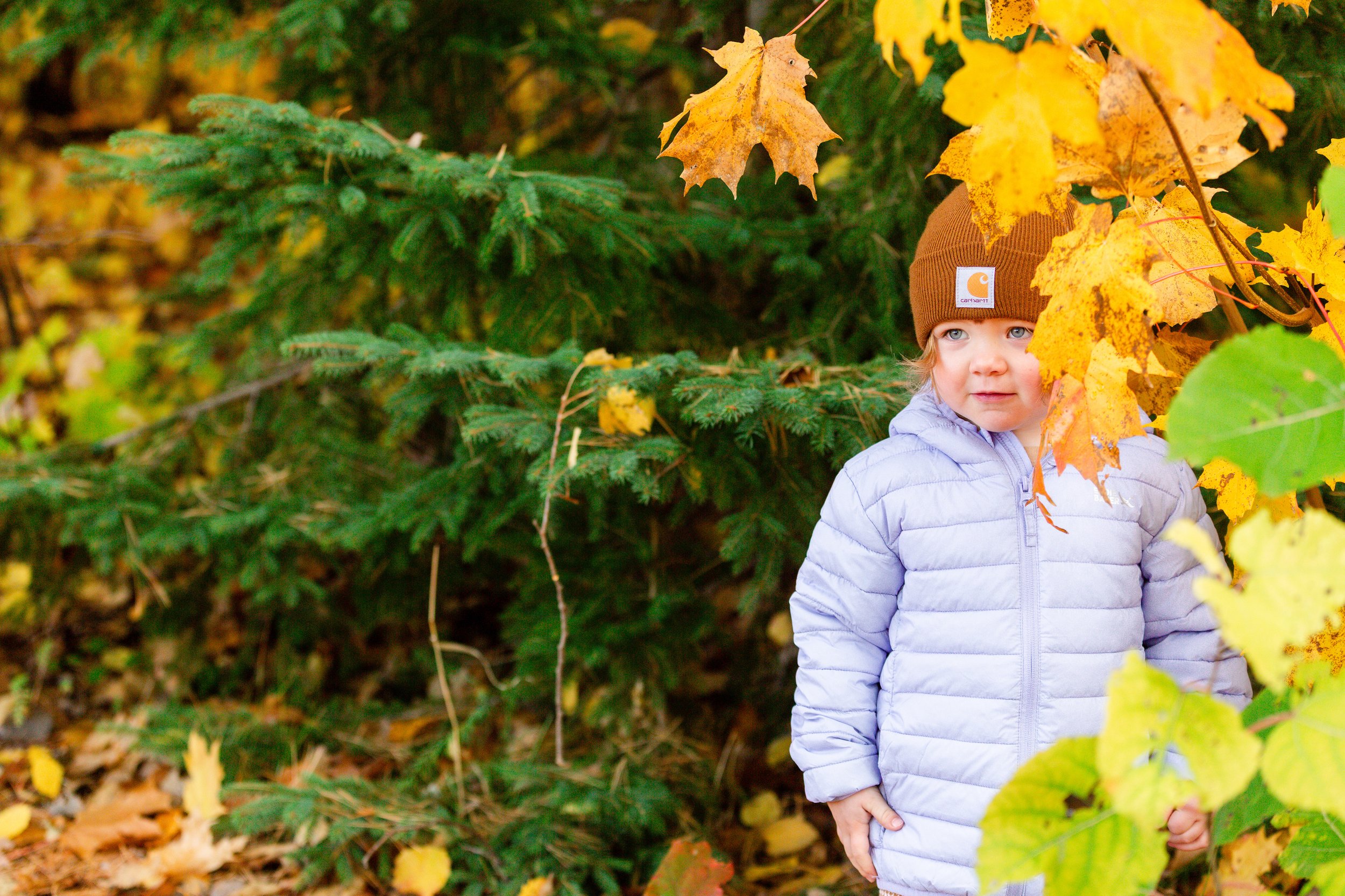 Duluth MN Family Photographer
