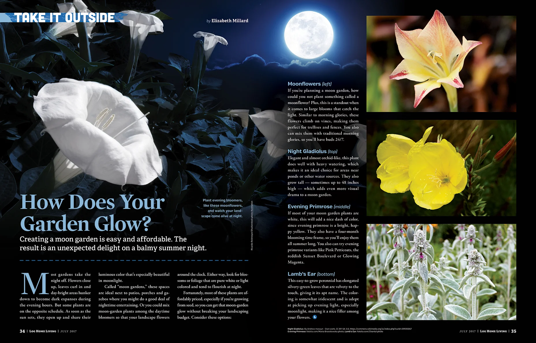 How Does Your Garden Glow?