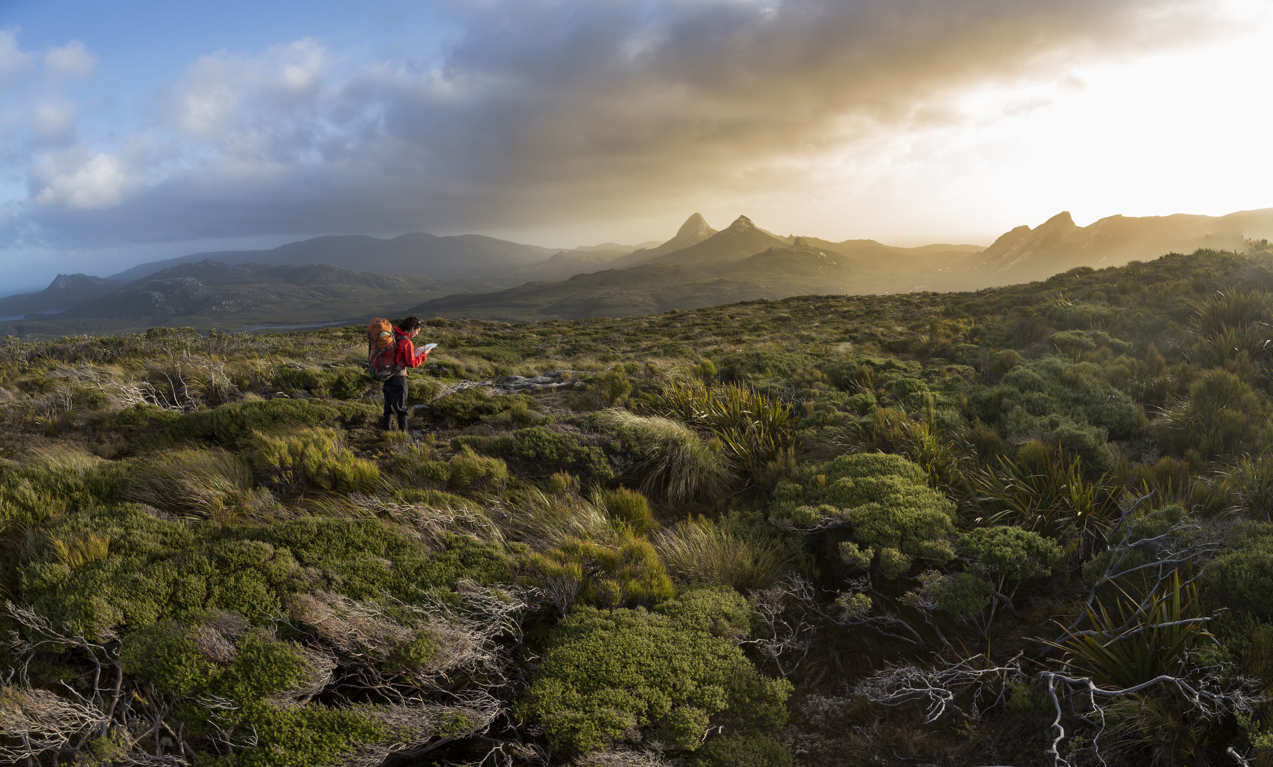 THE IMPORTANCE OF WILDERNESS