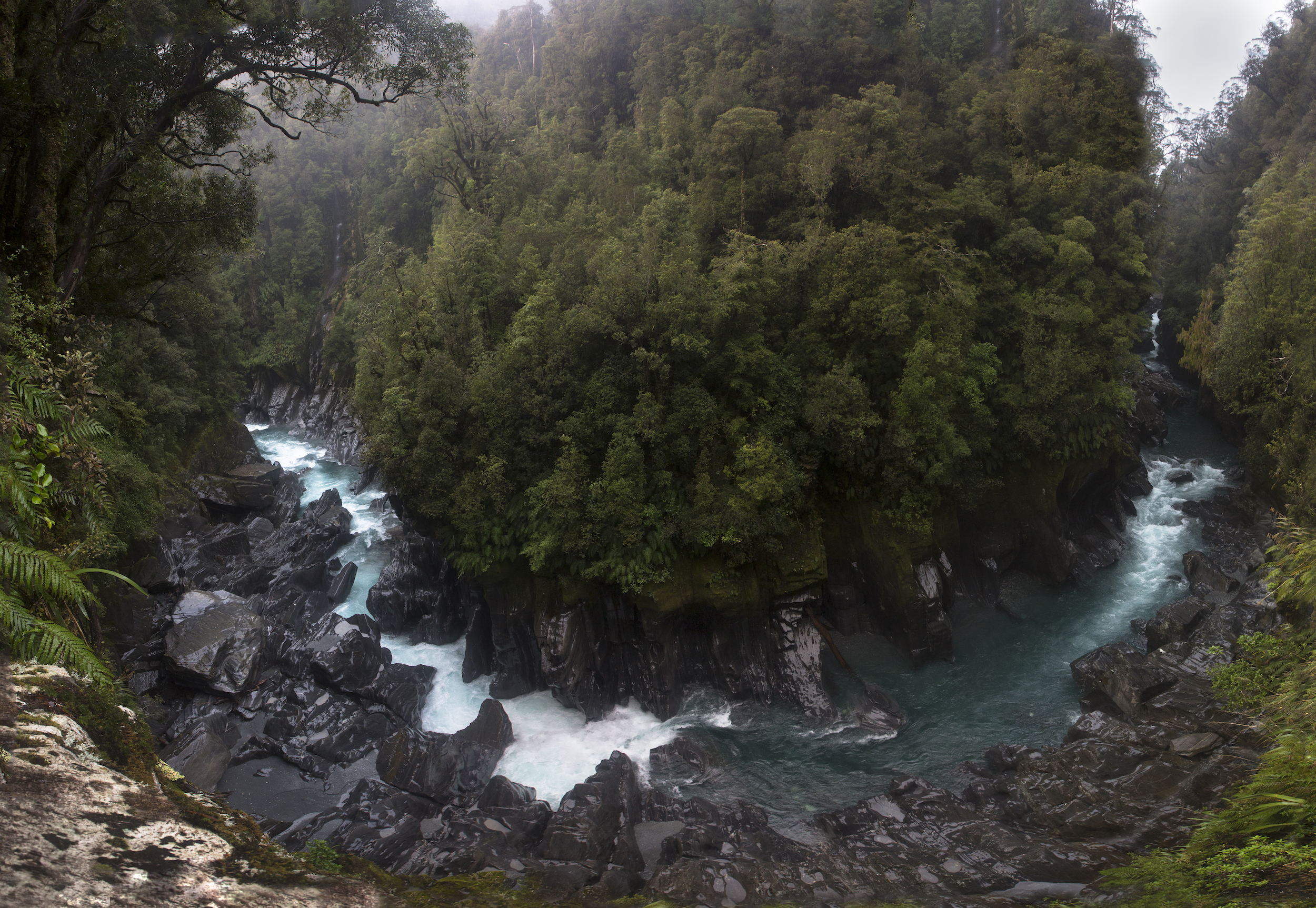 SAVE THE WAITAHA RIVER