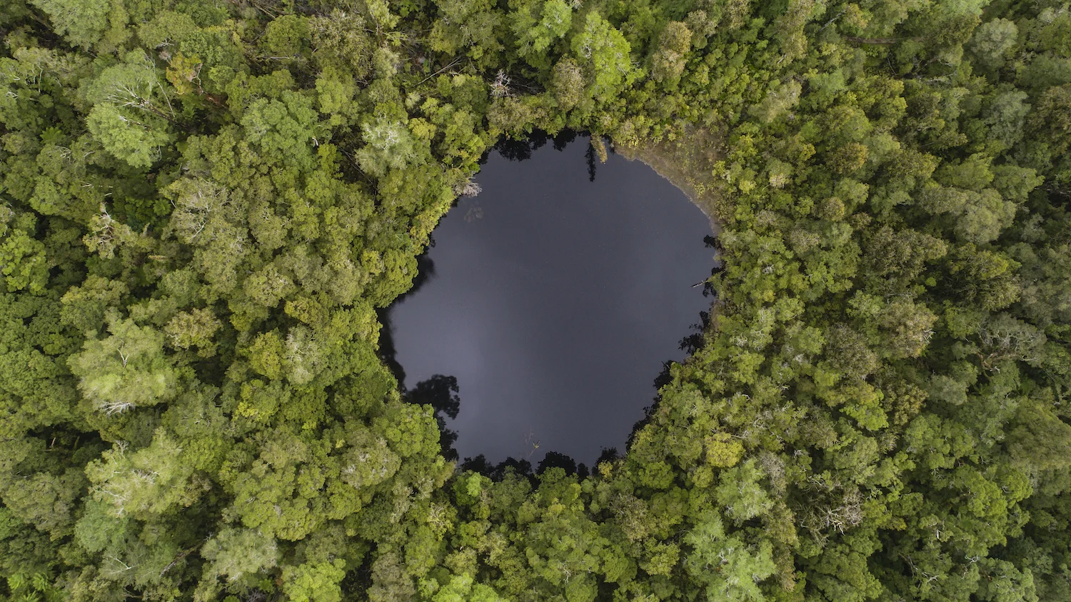 DJI_0138.jpg