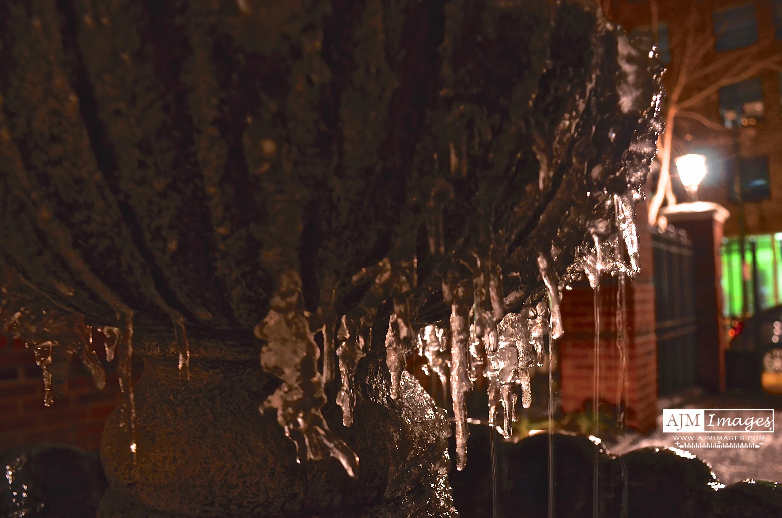 Website Photo  - 2 of 78.JPG