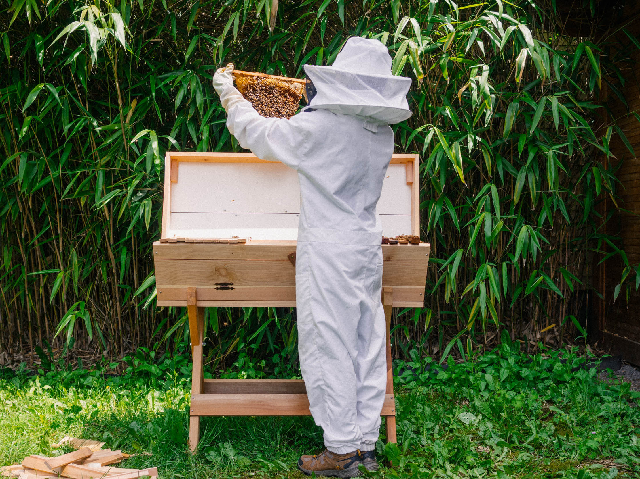 FABQs: Can I REALLY Keep Bees in My Backyard? ? Bee & Bloom