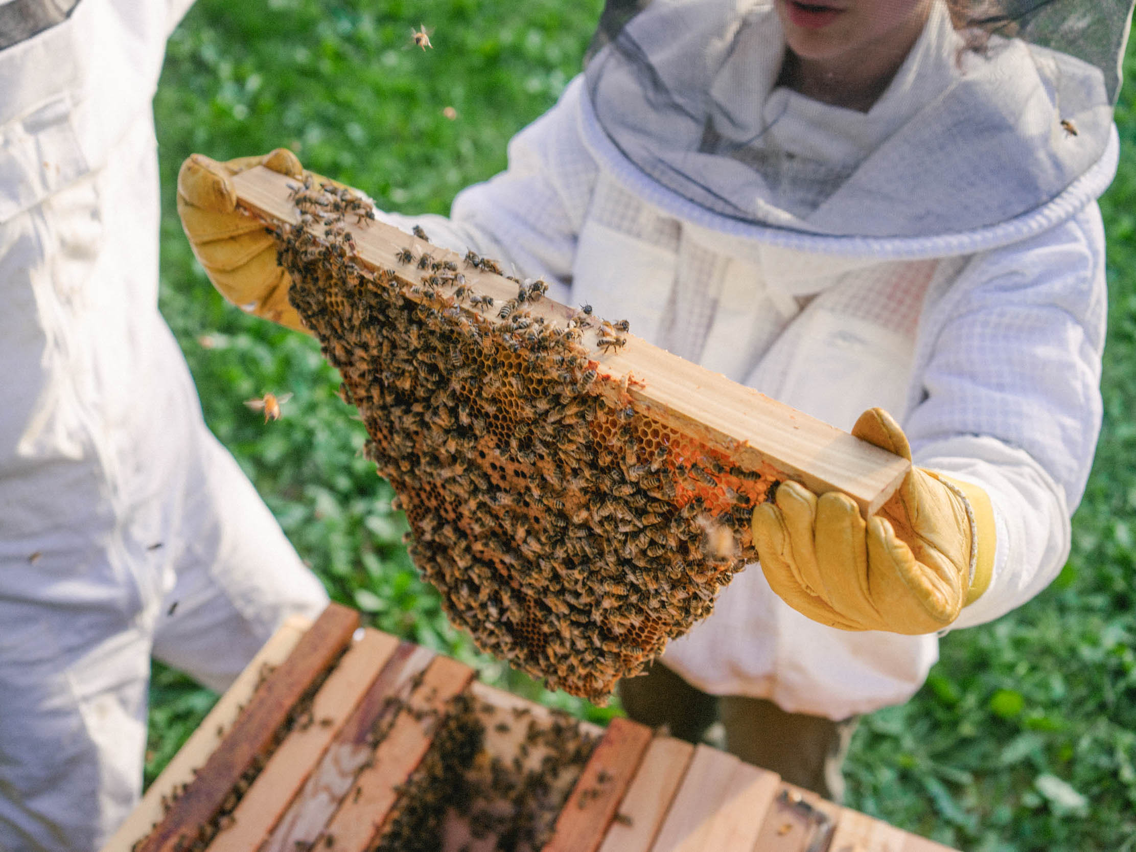 FABQs: How Much Work Is Beekeeping? - by Bee & Bloom