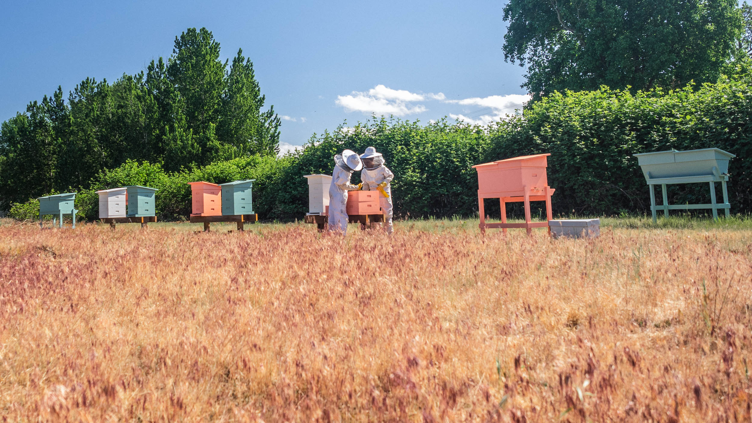 | Bee & Bloom