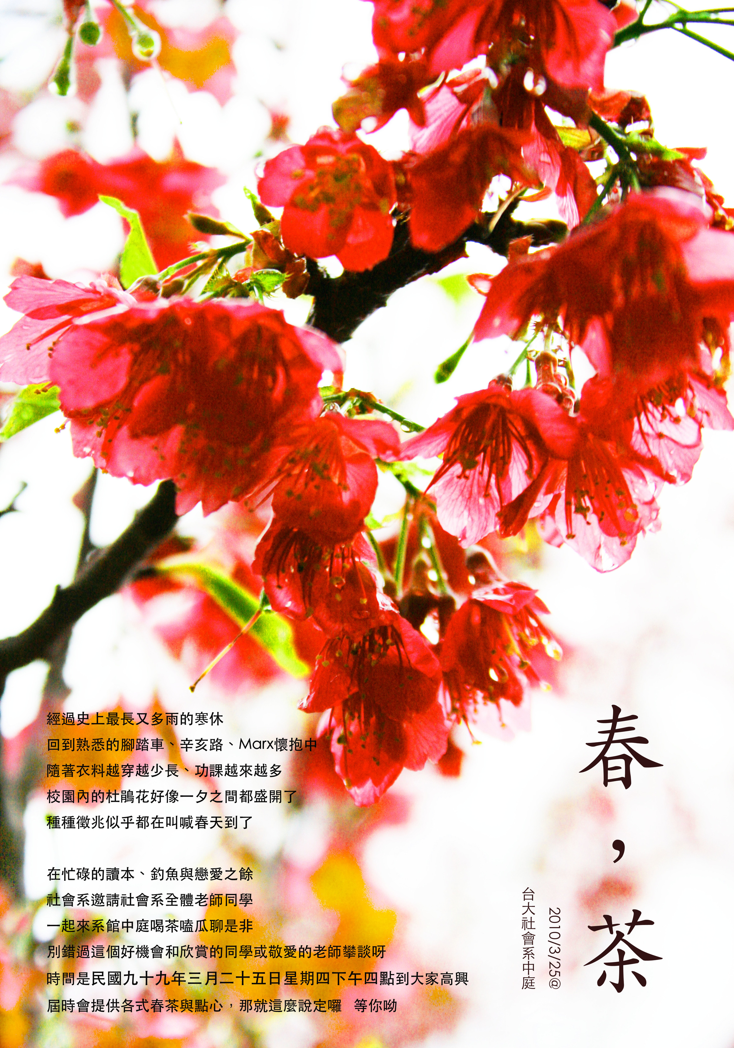 spring-tea_8323608378_o.jpg