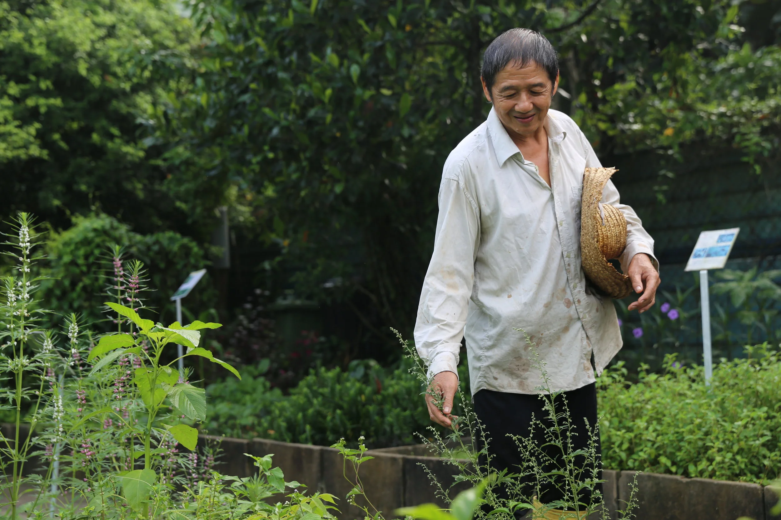 Mr. Ng - Herb Gardener | Singapore