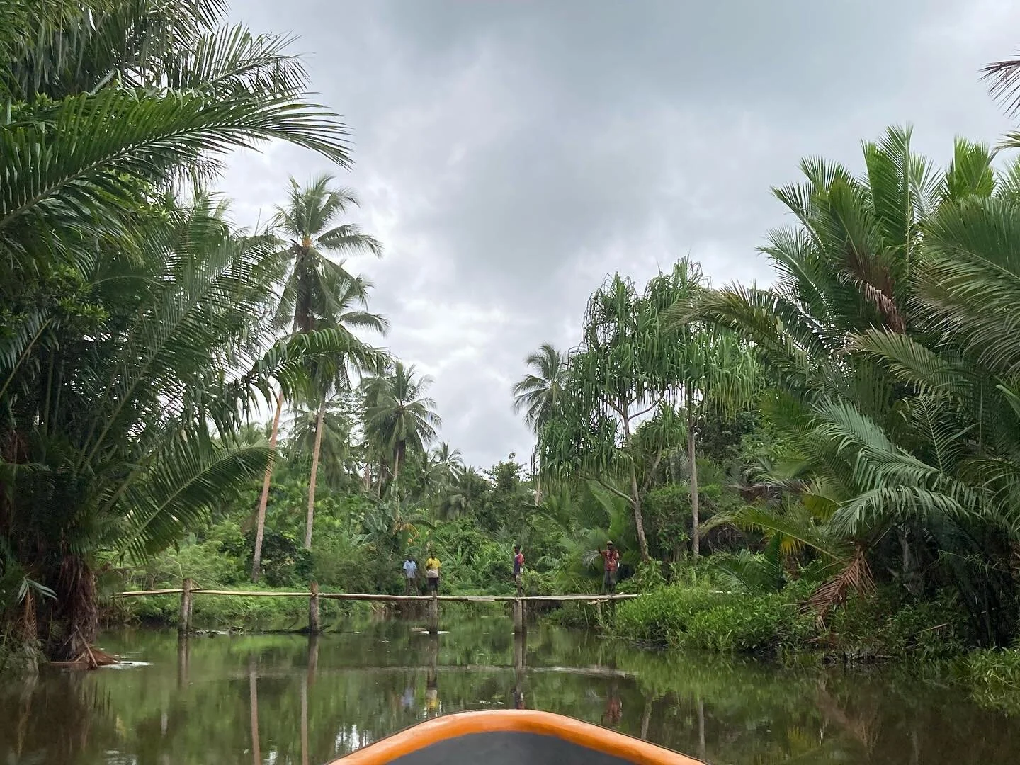 PNG 2022
1. Ihu River, Gulf Province 
2. Fjord in Tufi, Oro Province
3. Smoked fish for breakfast in Buka, Autonomous Region of Bougainville
4. View from the lookout at Virarata National Park, Sogeri, Central Province
5. Landing on Buka Island, Auton