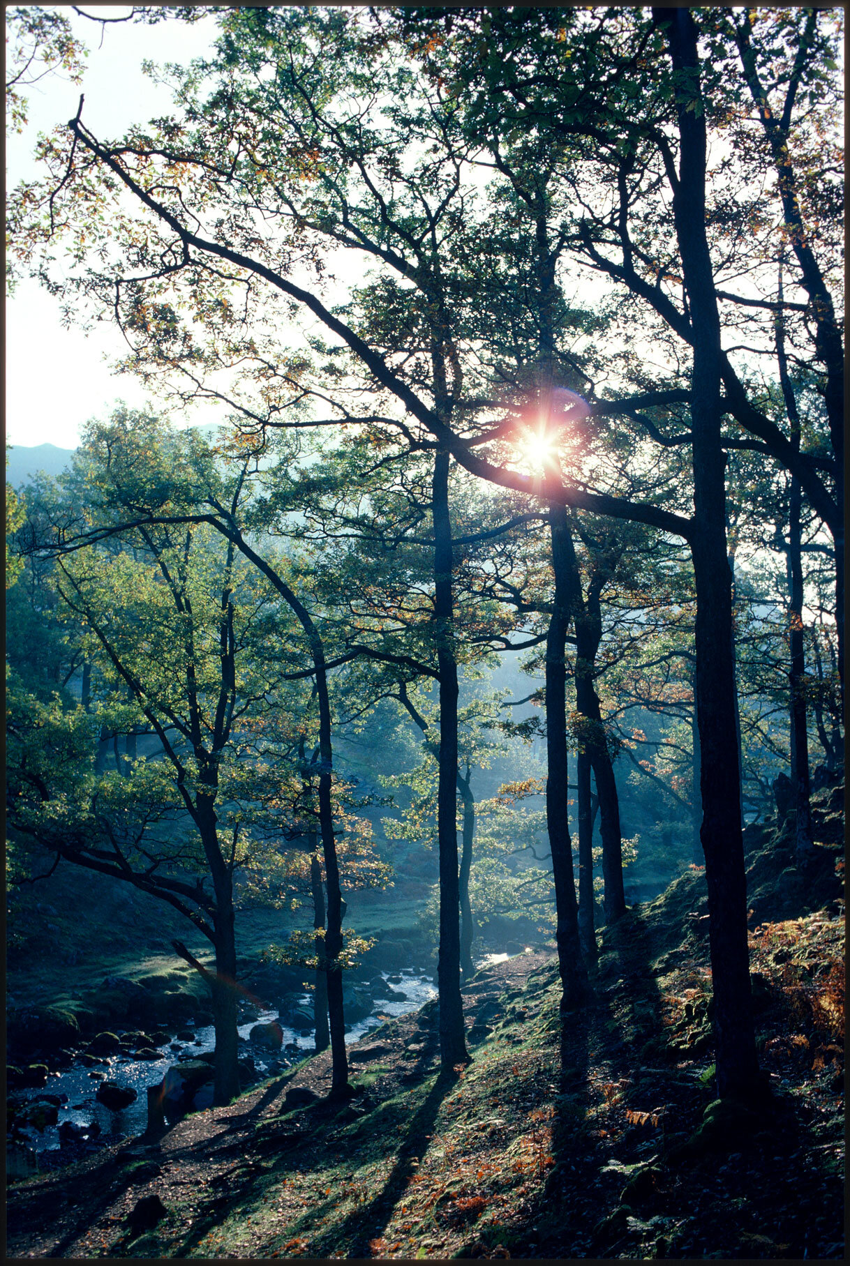 lake district 1985