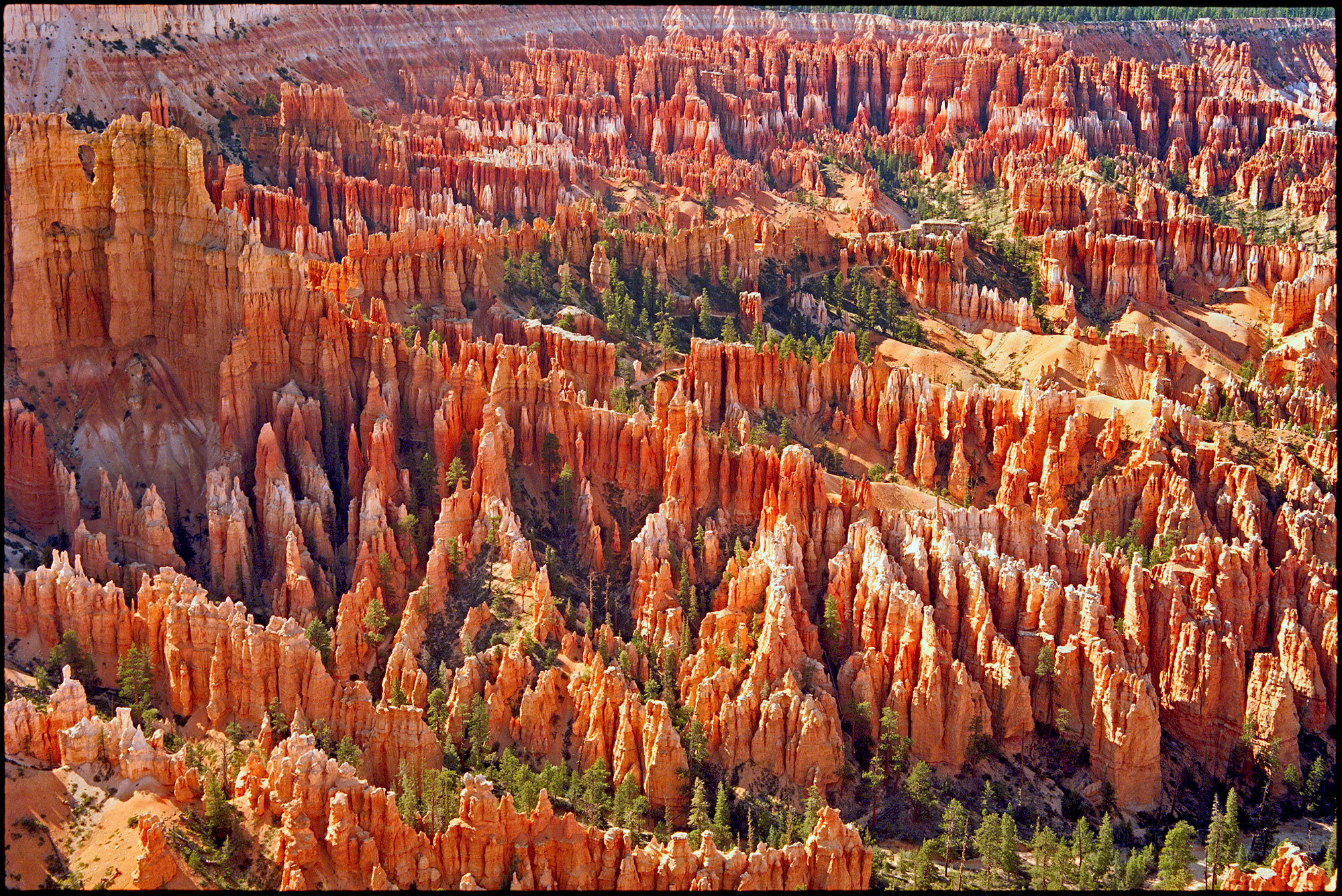 bryce canyon 2009