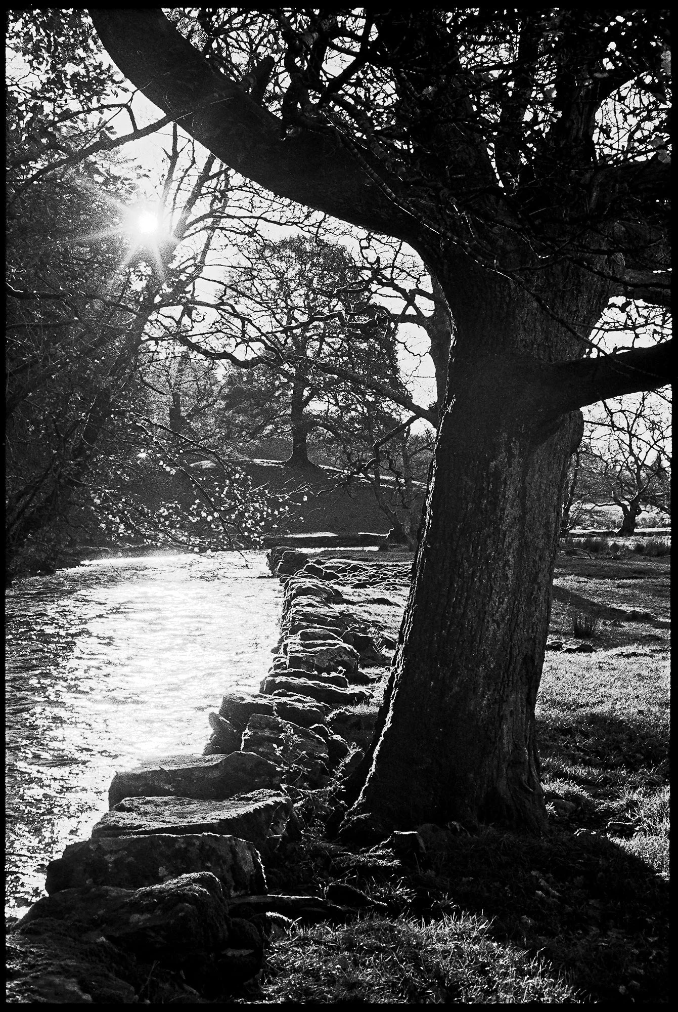 river rothay, cumbria uk 2010