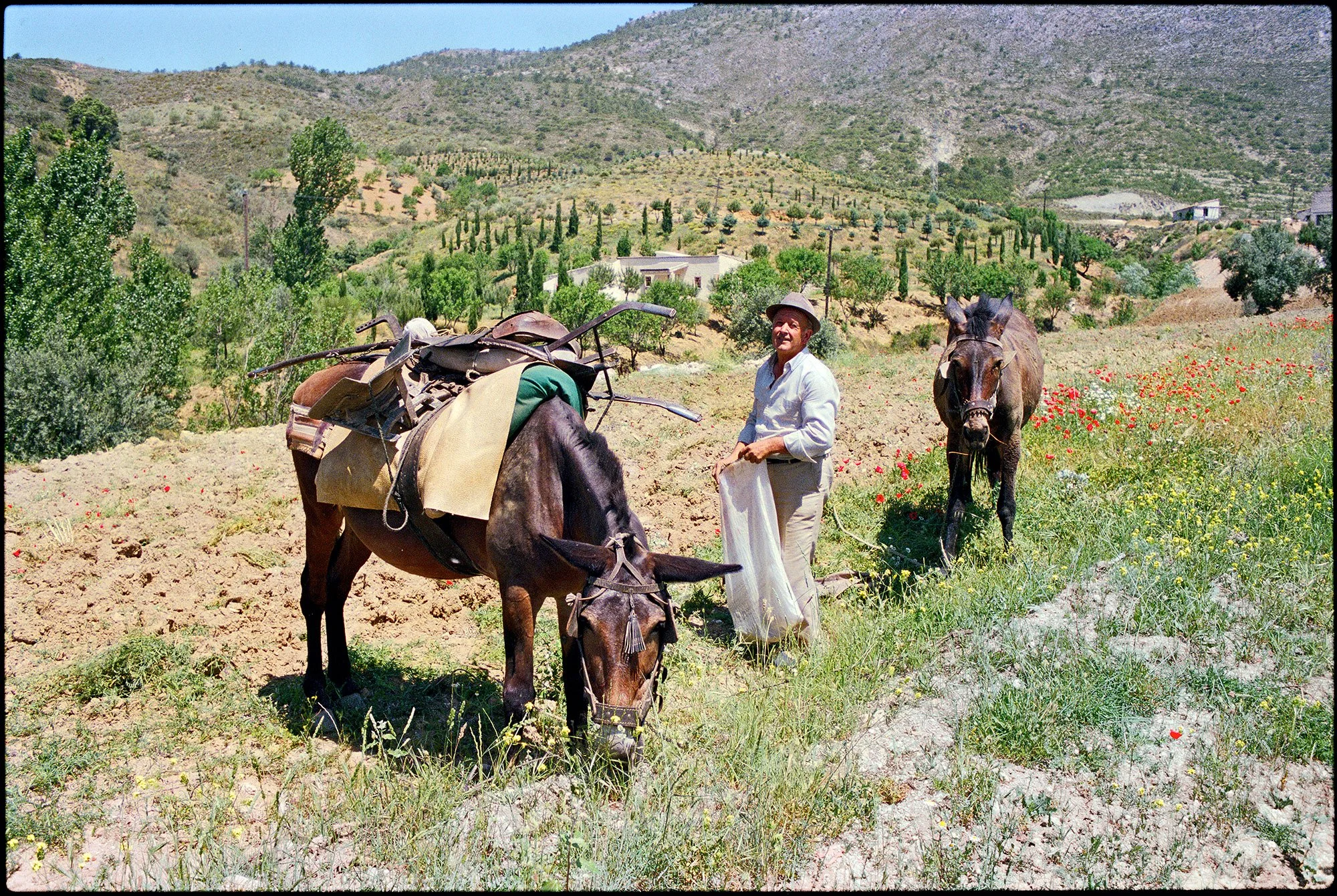 andalucia, spain 1986