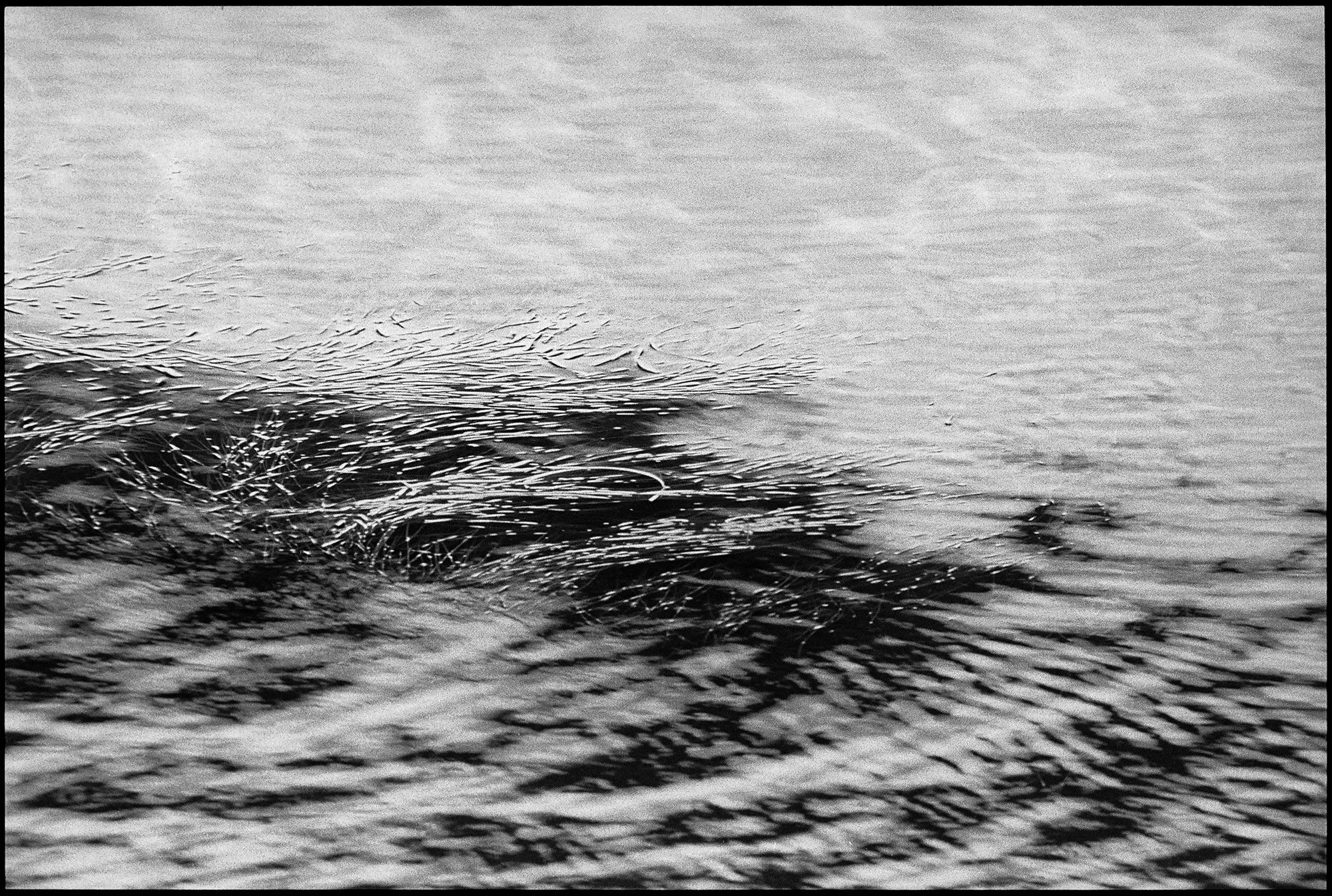 still waters i 2001