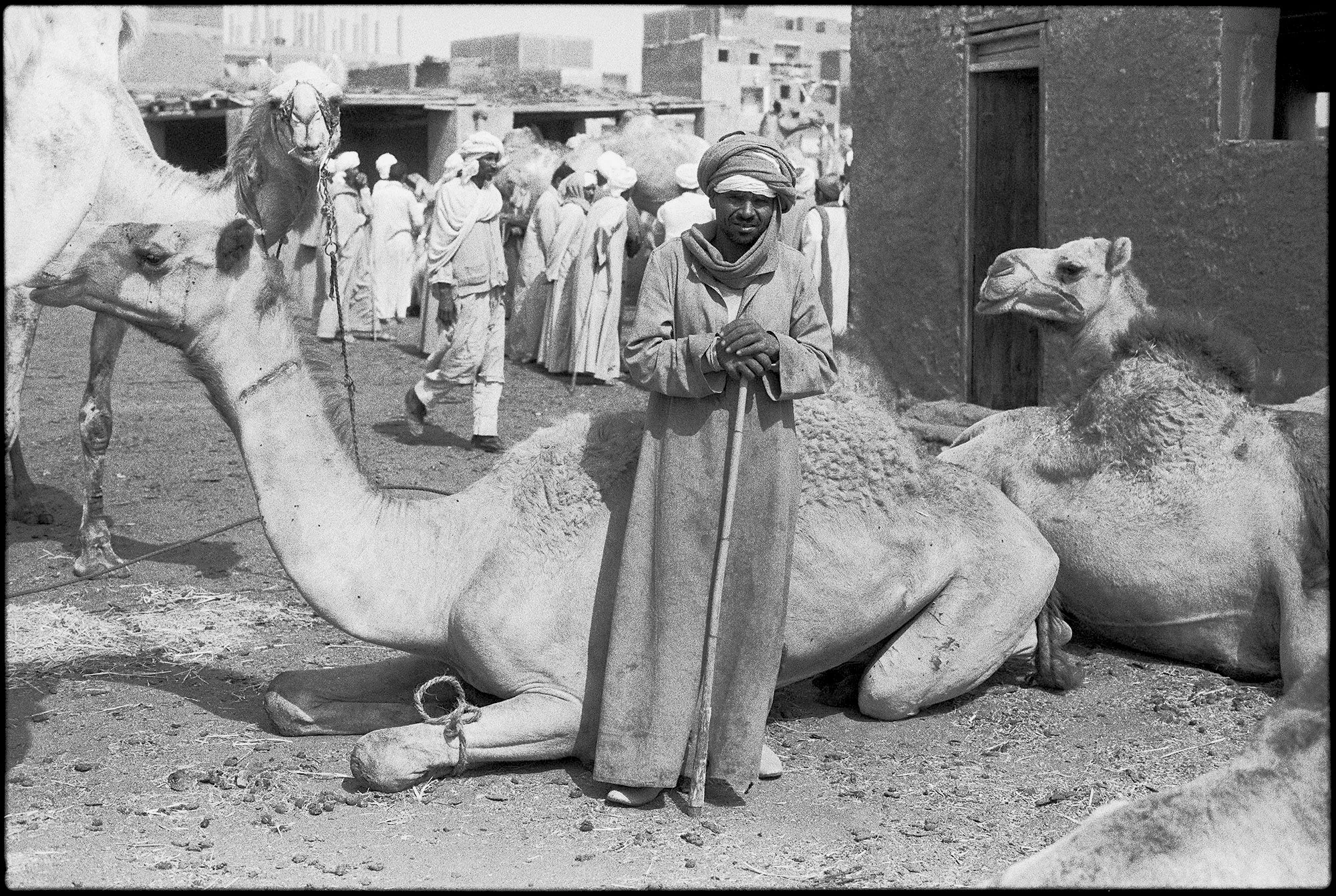 souk el-gamal, imbaba (cairo)