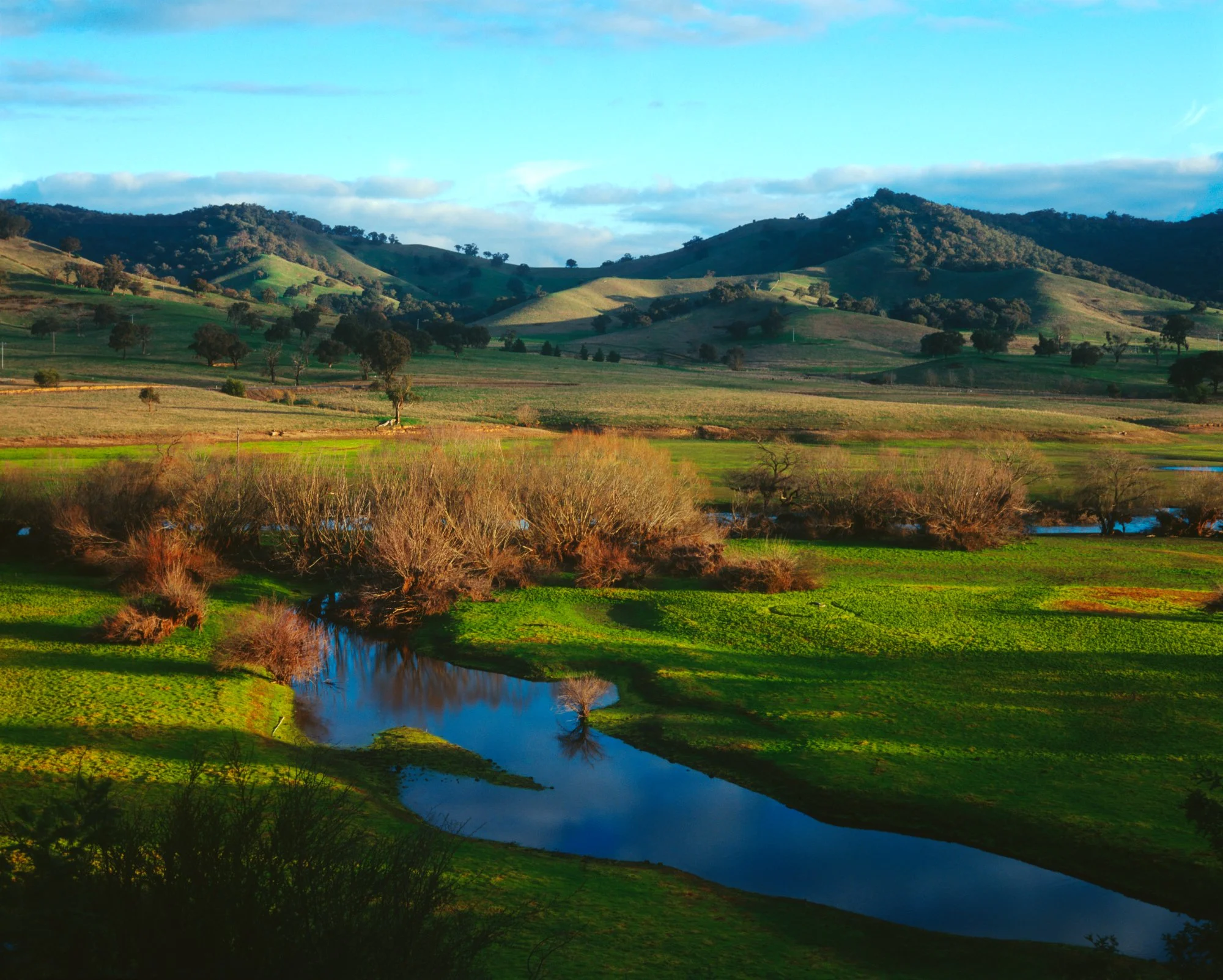near jamieson 1993