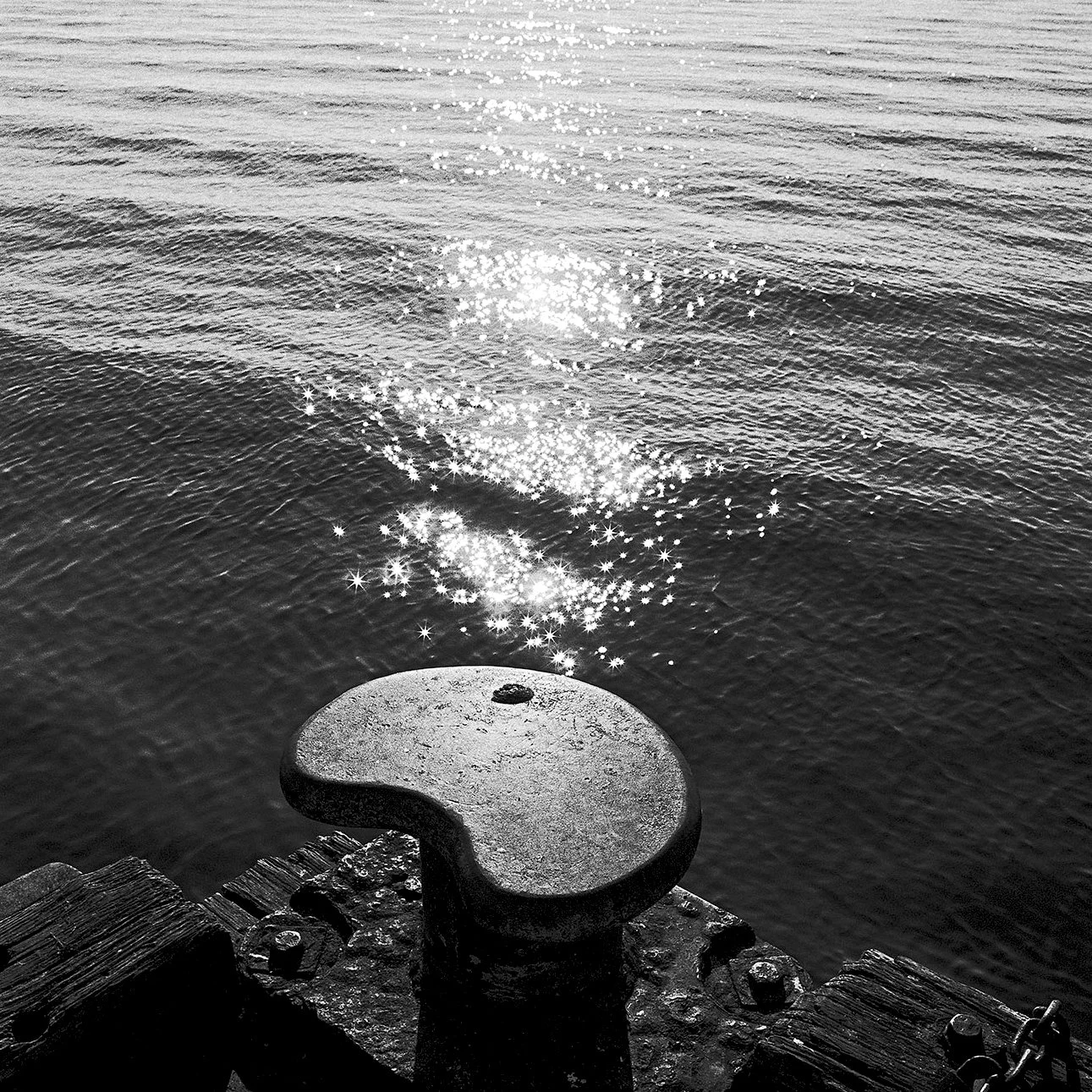 24-05-canon-29b sq.jpg