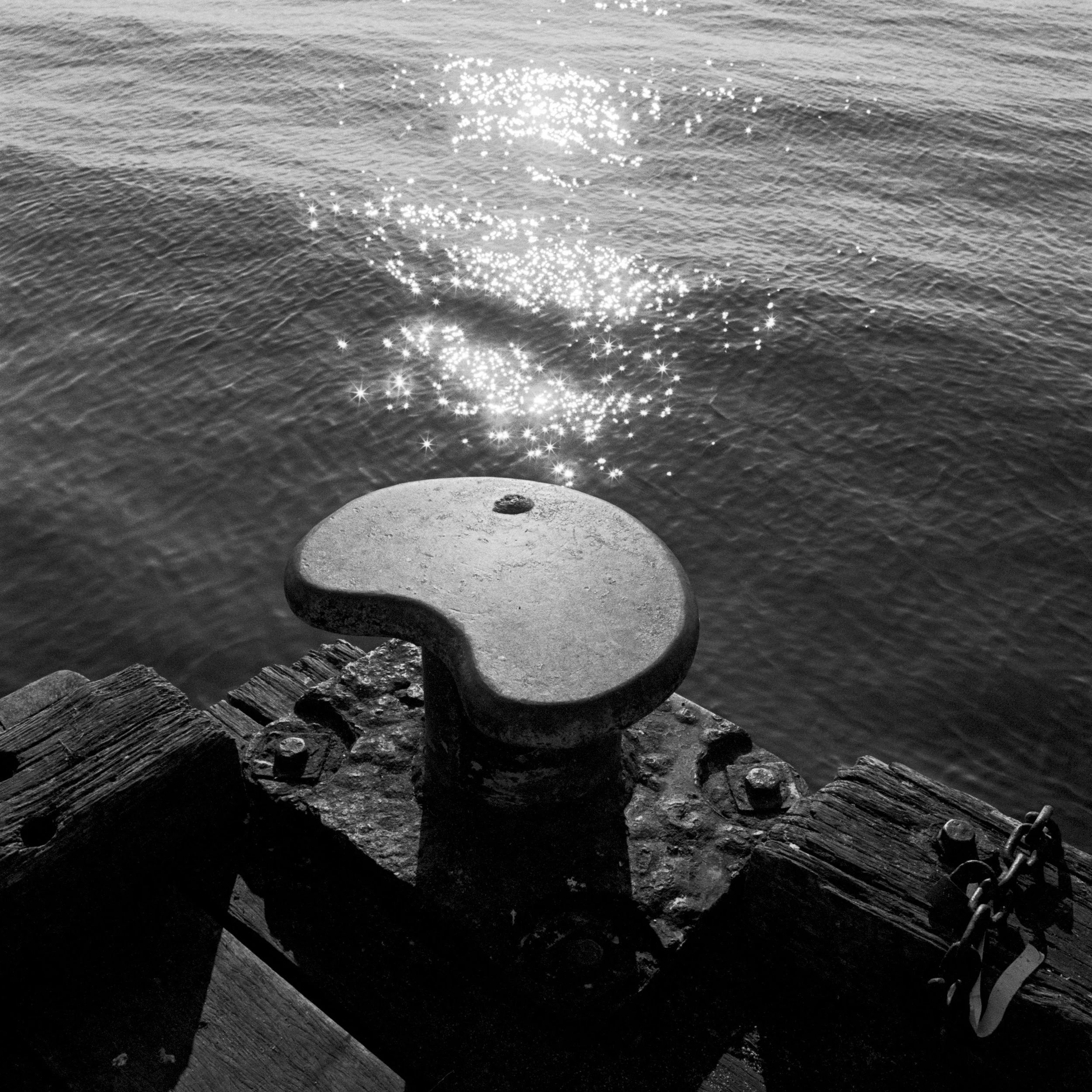 24-05-canon-29 squ.jpg