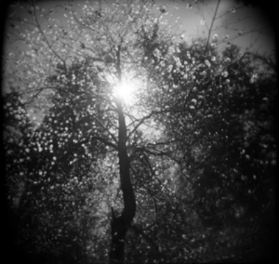 Infinity by J. M. Golding